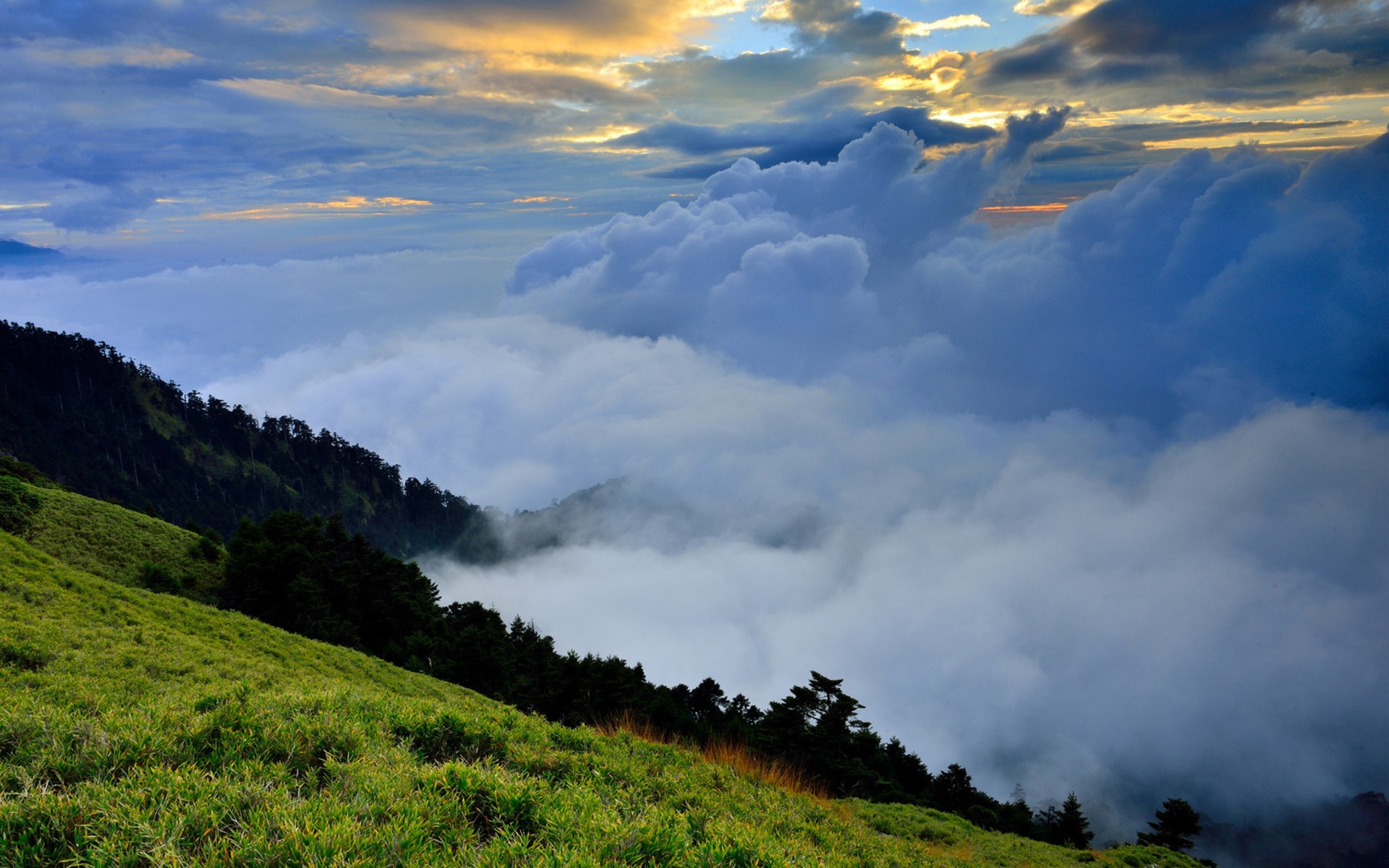 Mountain slope covered in grass and trees with clouds above HD Wallpaper