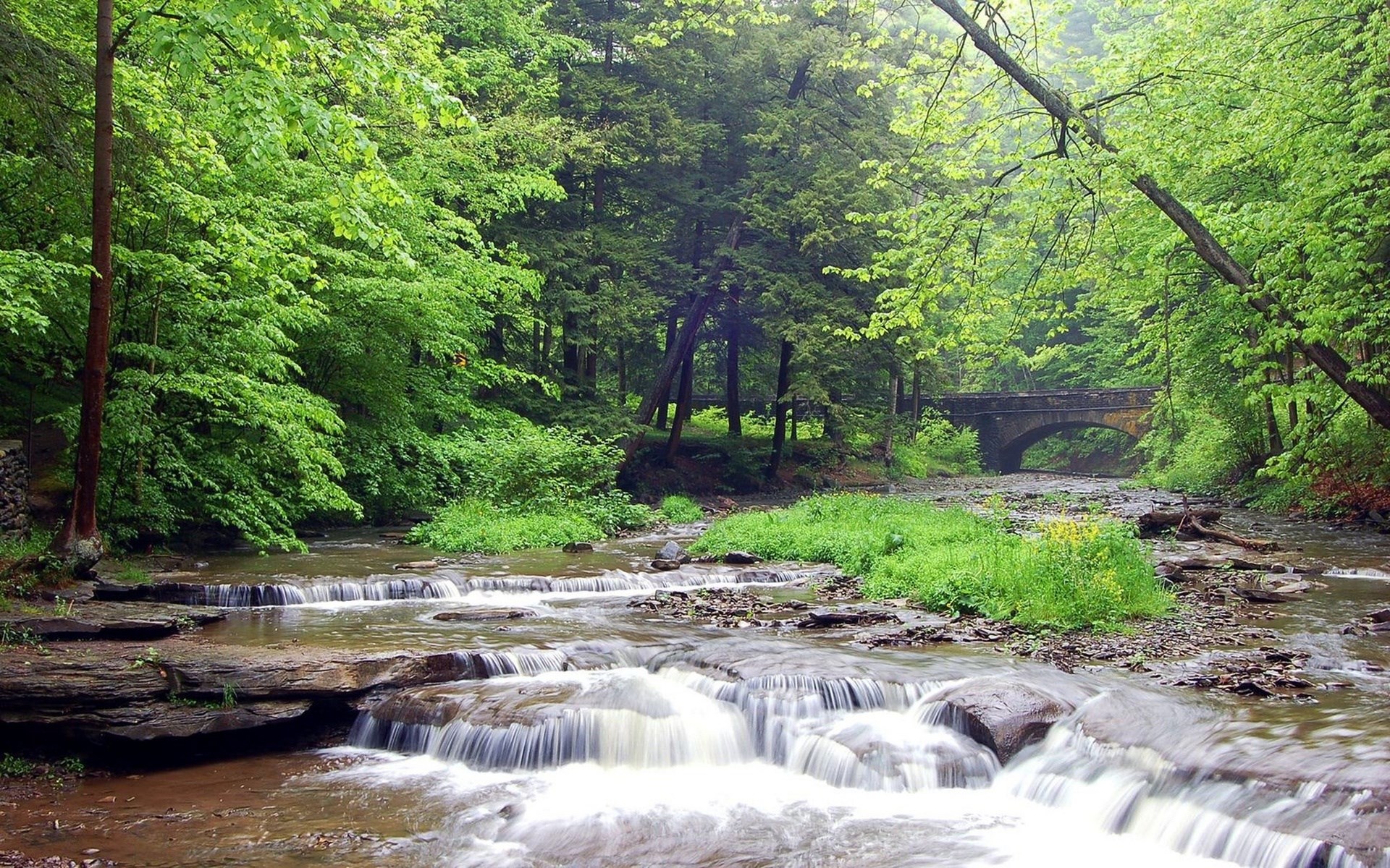A stream flows through a forest with a stone bridge in the background. HD Wallpaper