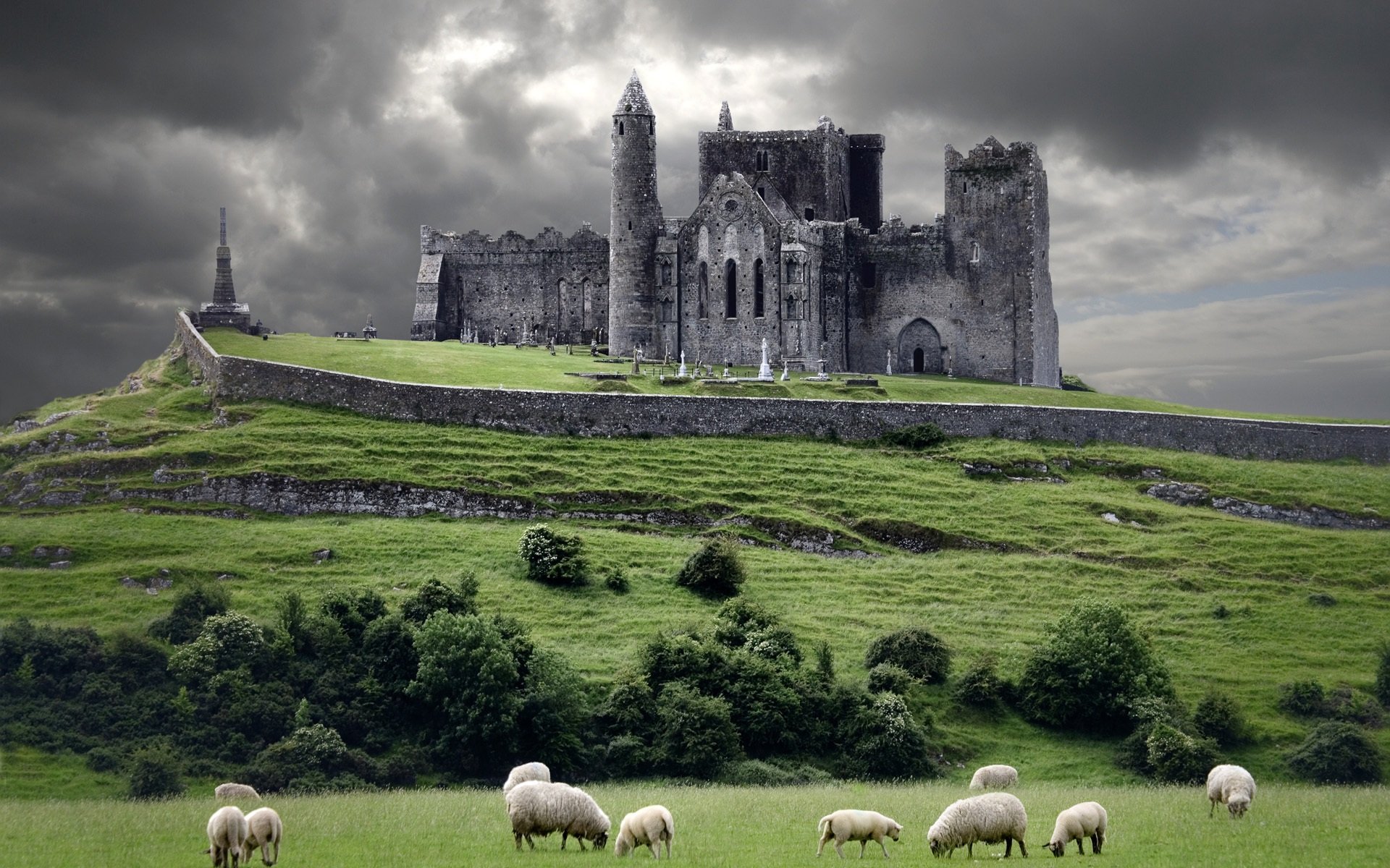 Historic Rock of Cashel in Ireland with Grazing Sheep HD Wallpaper