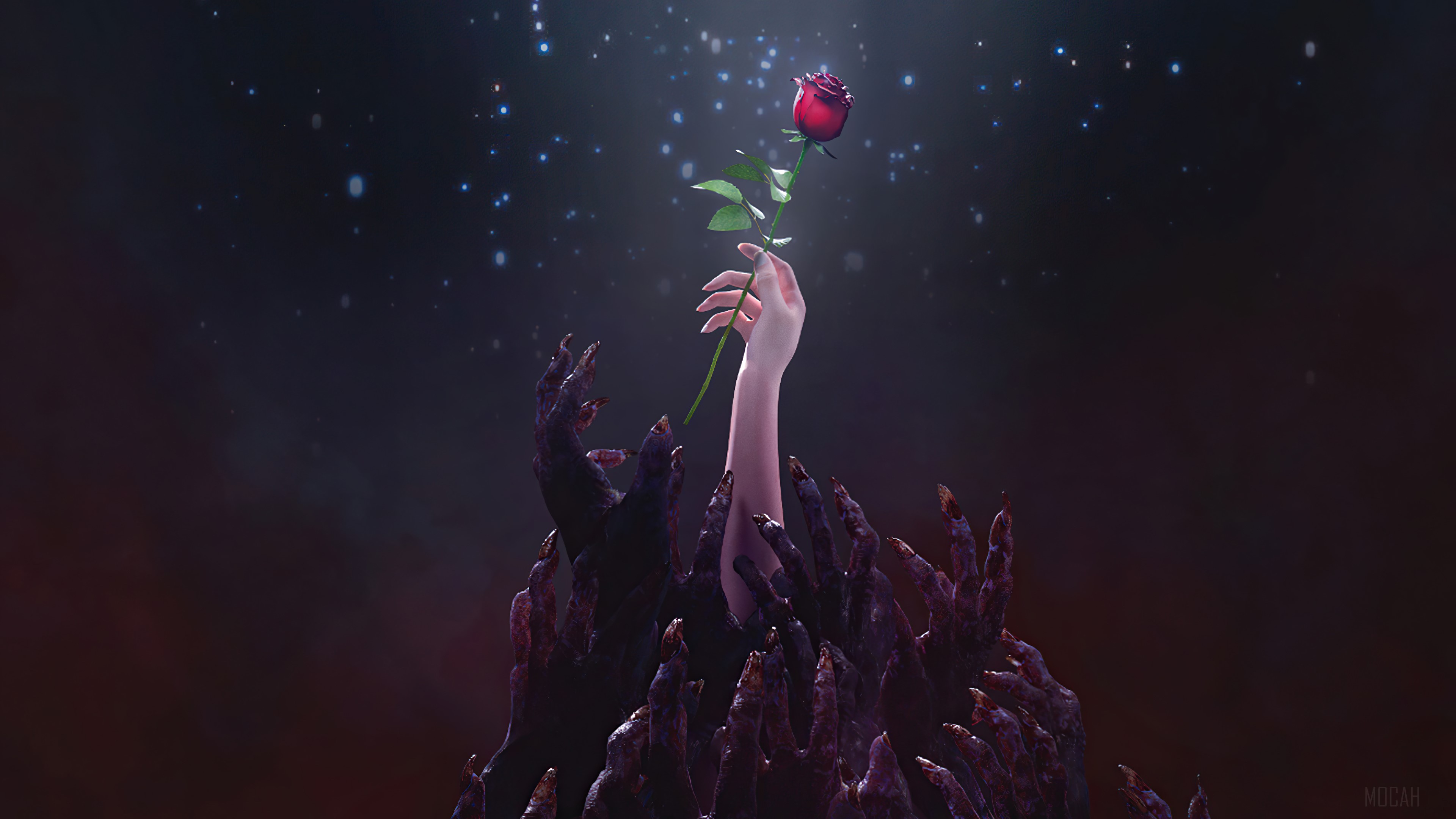 A hand holding a rose from darkness HD Wallpaper