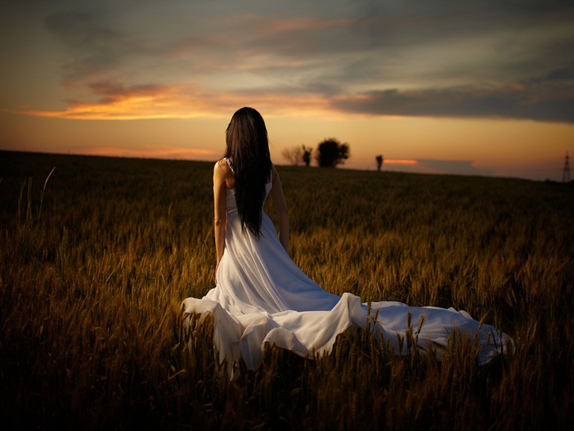 Woman in white dress in a field at sunset HD Wallpaper