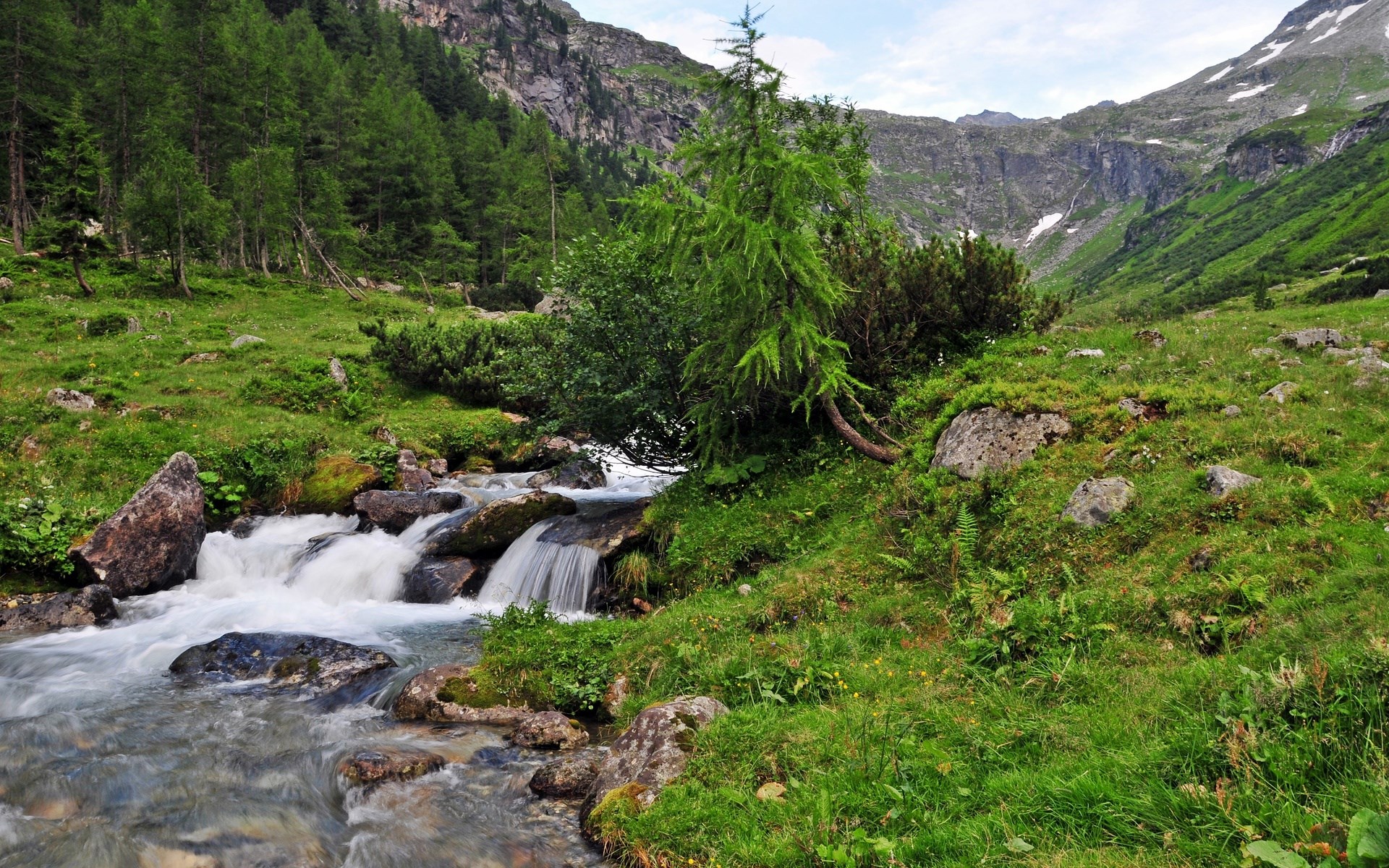 Mountain stream flowing through a green alpine valley HD Wallpaper