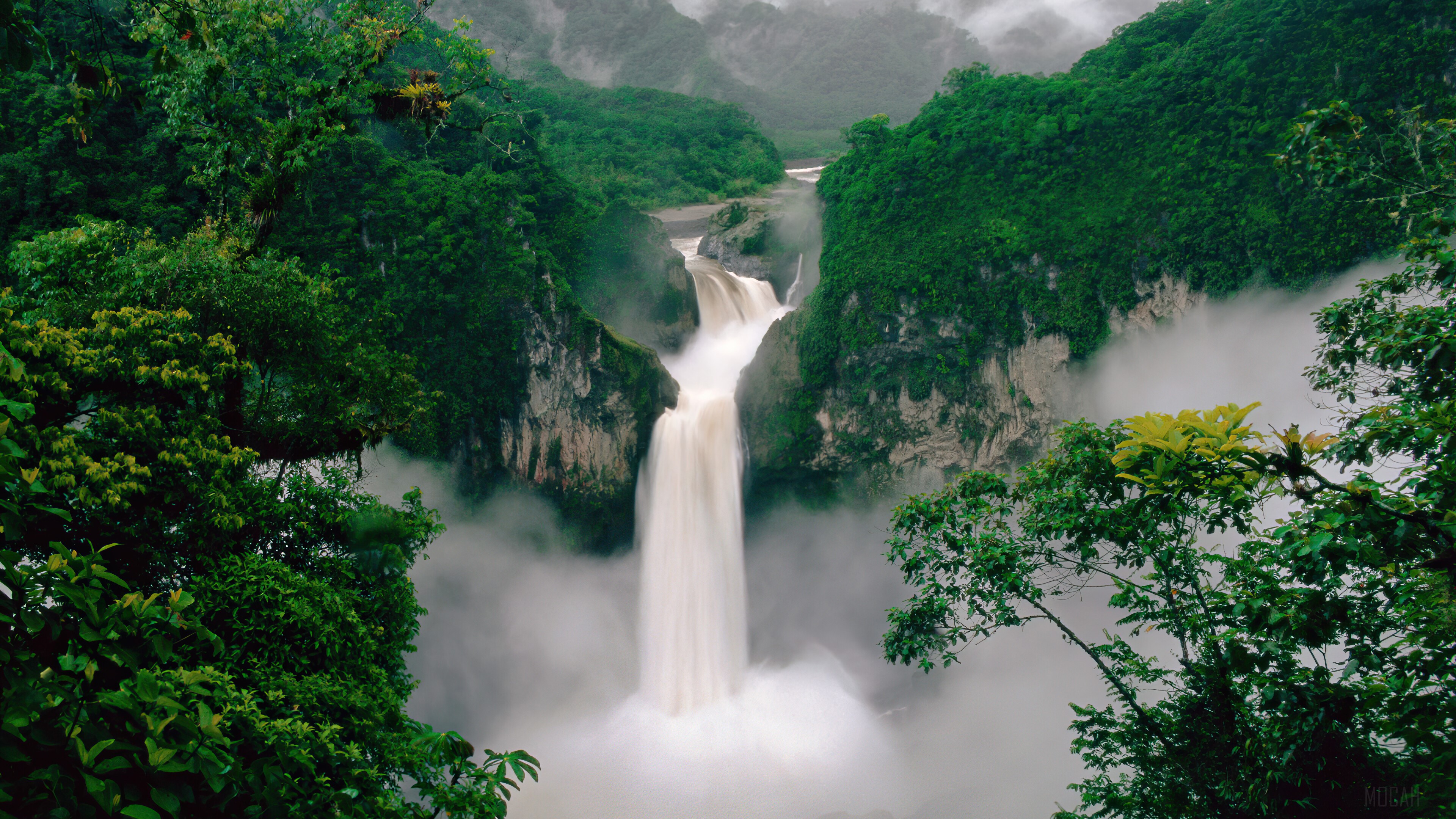 Waterfall in a lush green forest HD Wallpaper