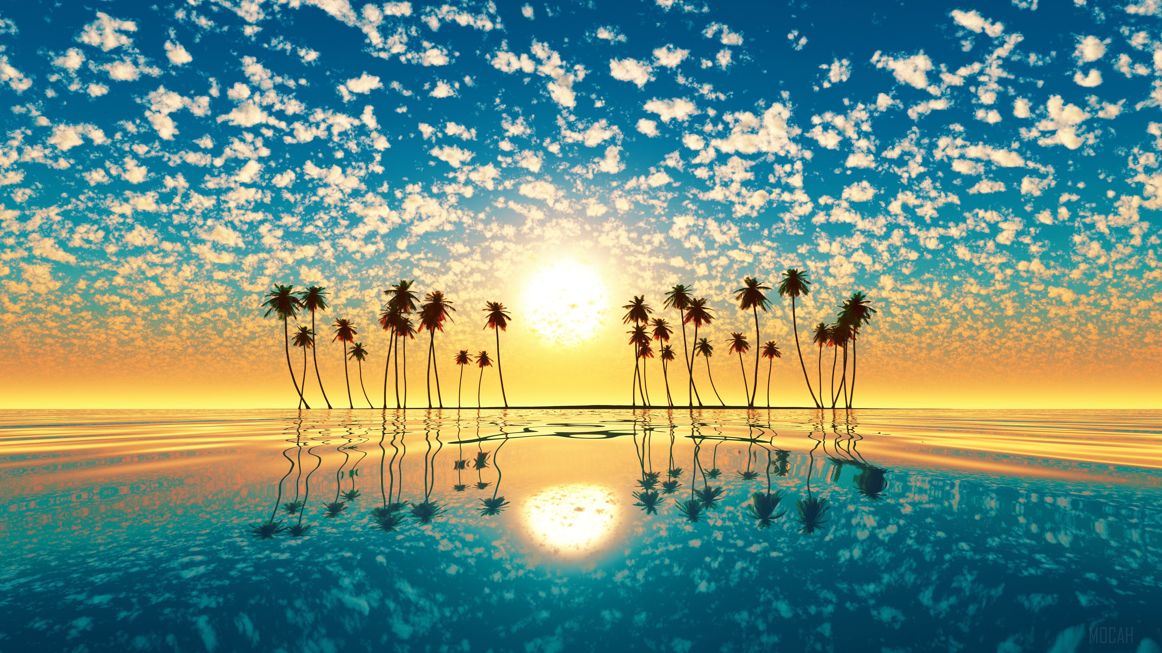 Sunset over the ocean with palm trees and clouds HD Wallpaper