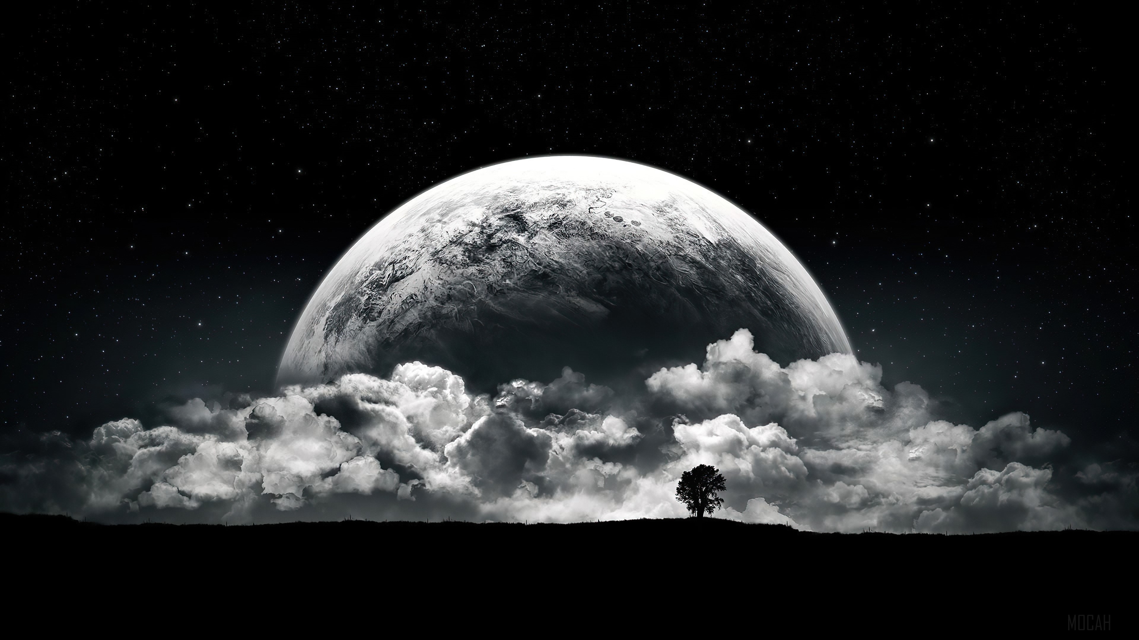 Full Moon Rising Over Clouds with Lone Tree on Horizon 4K HD Wallpaper