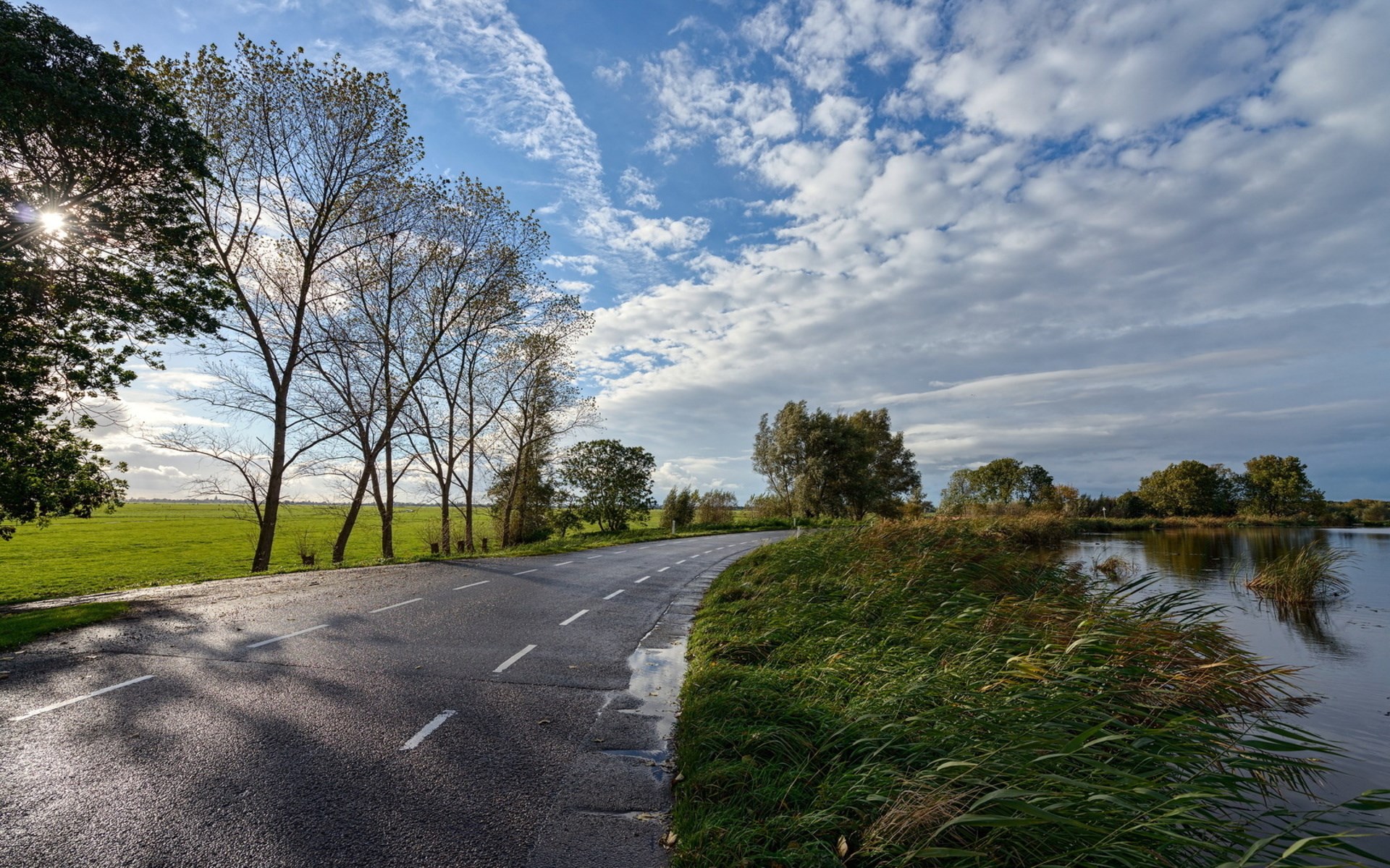 Road curving alongside a body of water with trees and clouds HD Wallpaper
