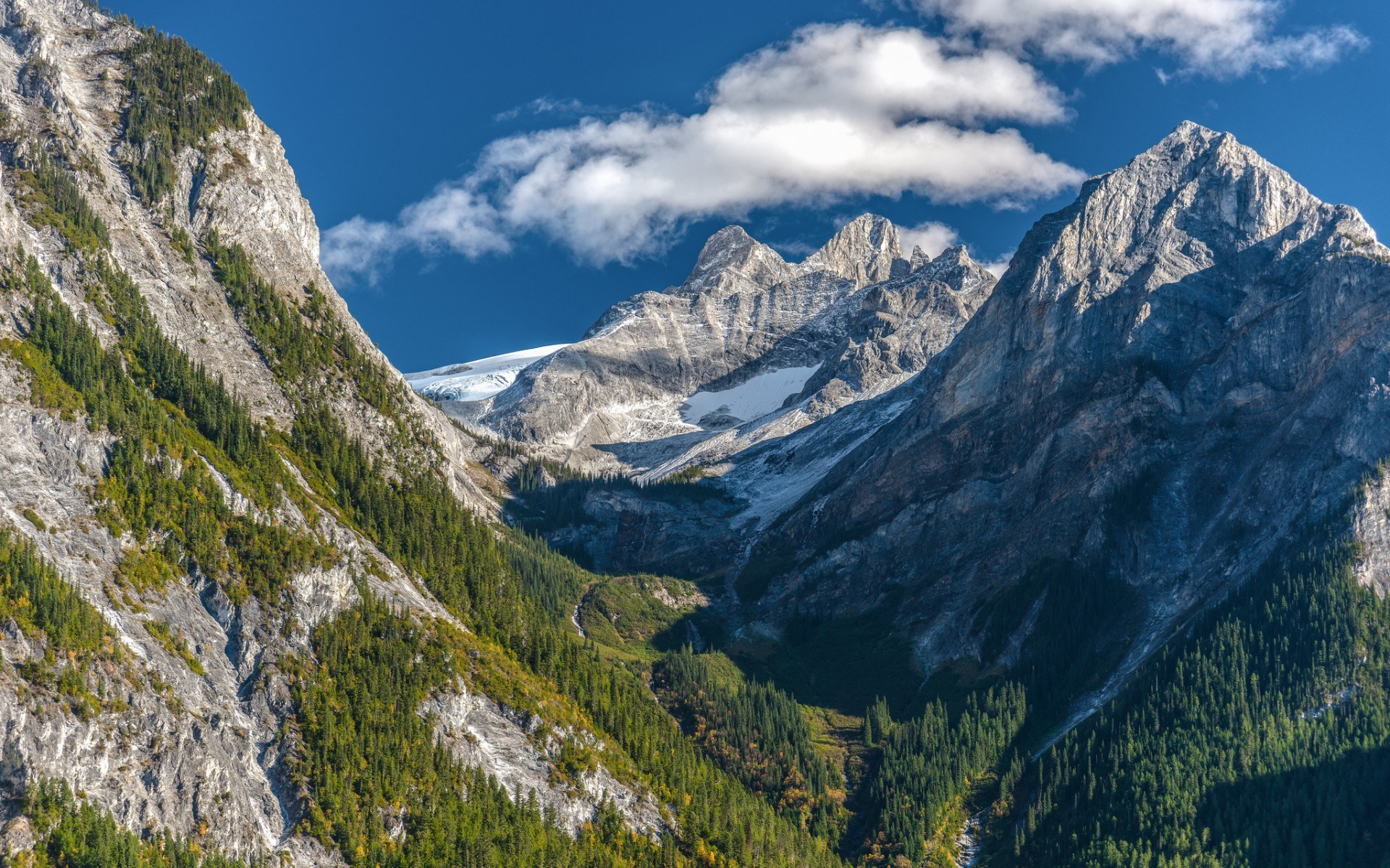 Jagged mountain peaks with glaciers and evergreen forests HD Wallpaper