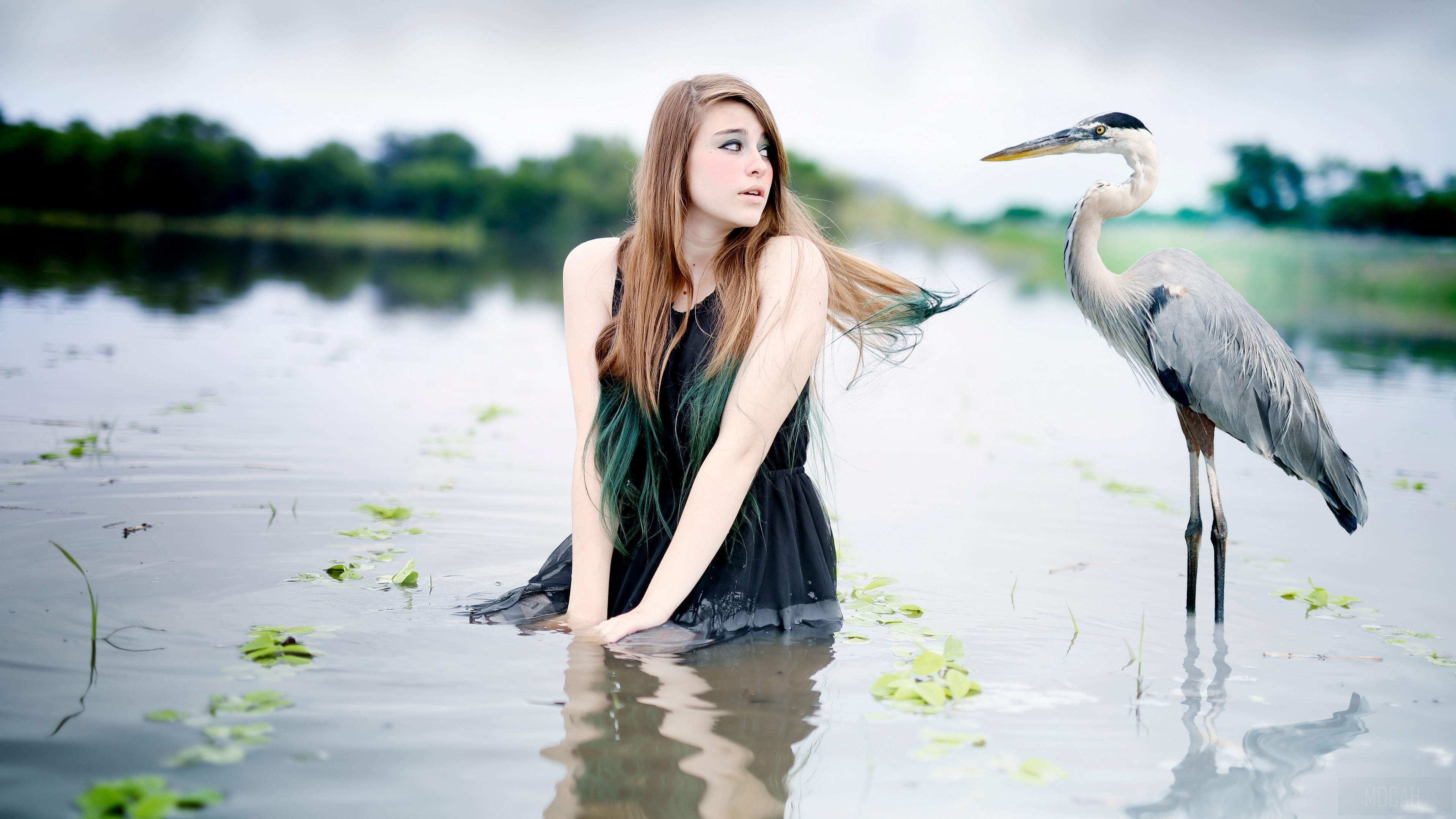 Girl and Great Blue Heron in Water 4K HD Wallpaper