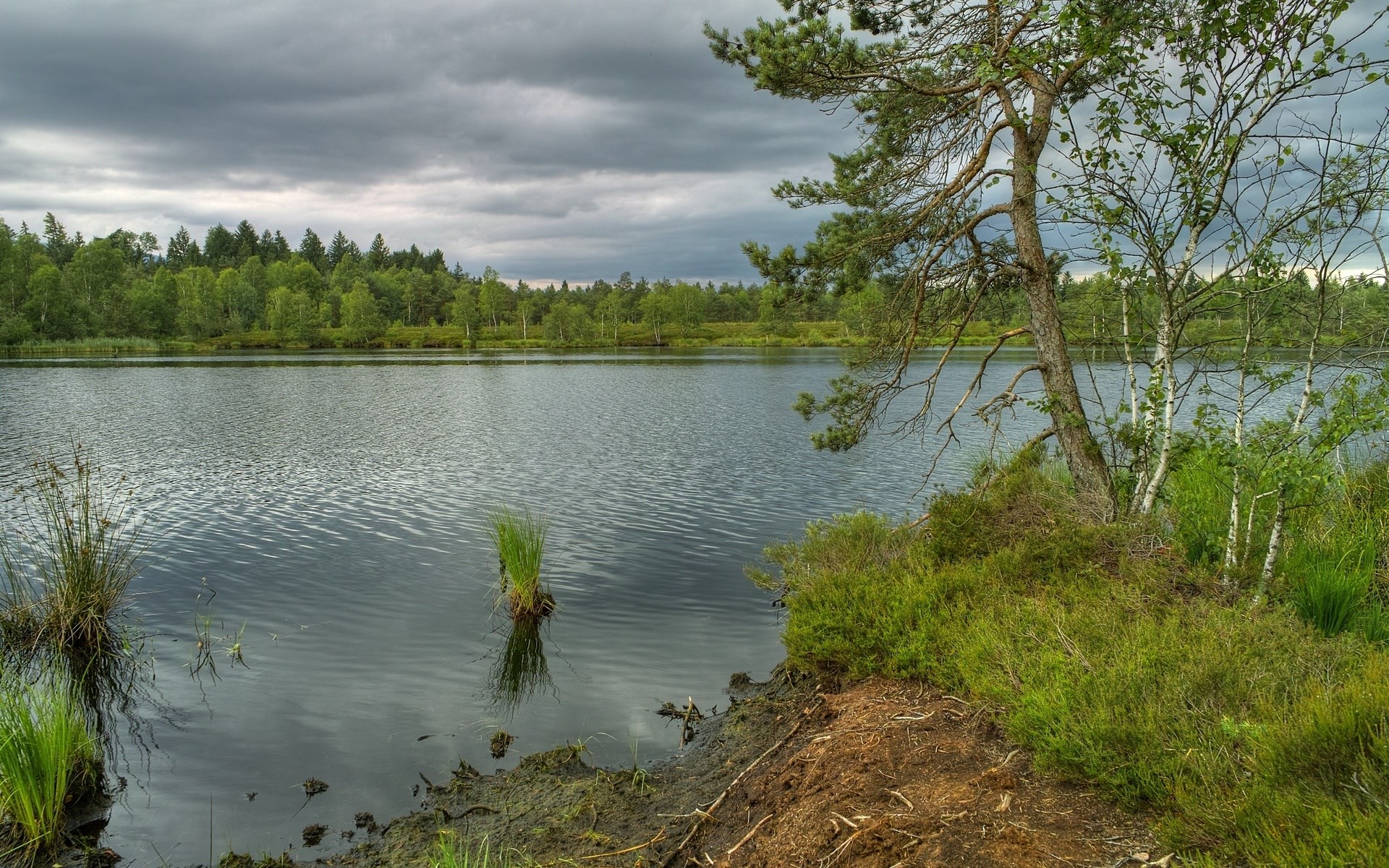 Lake surrounded by trees under a cloudy sky HD Wallpaper
