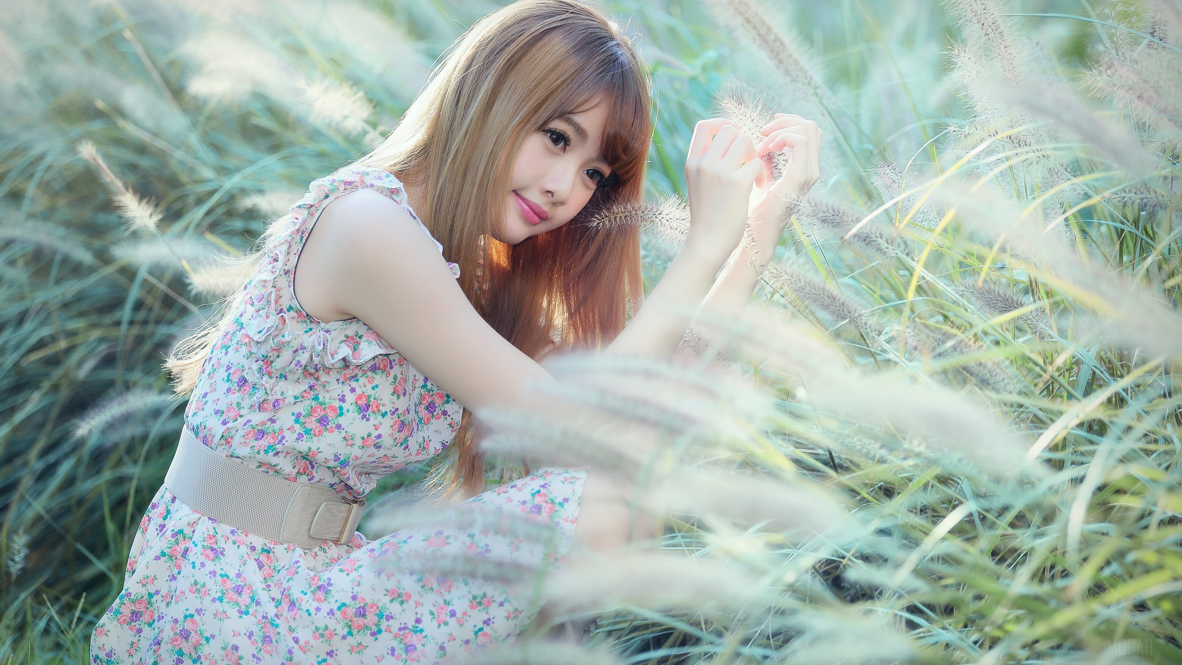 Cubie Wang in floral dress with belt in tall grass 4K HD Wallpaper