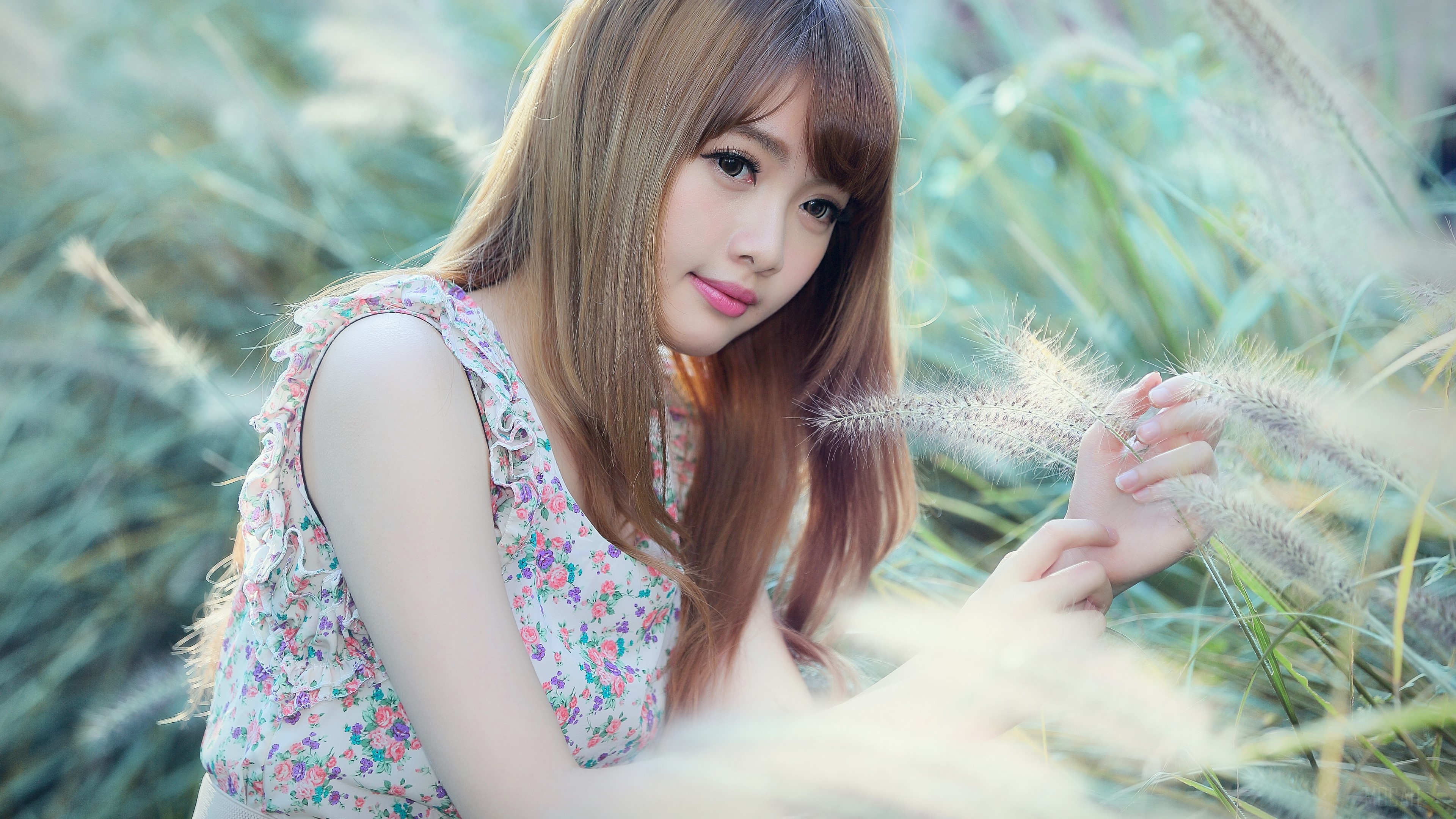 Cubie Wang in floral dress with grass HD Wallpaper