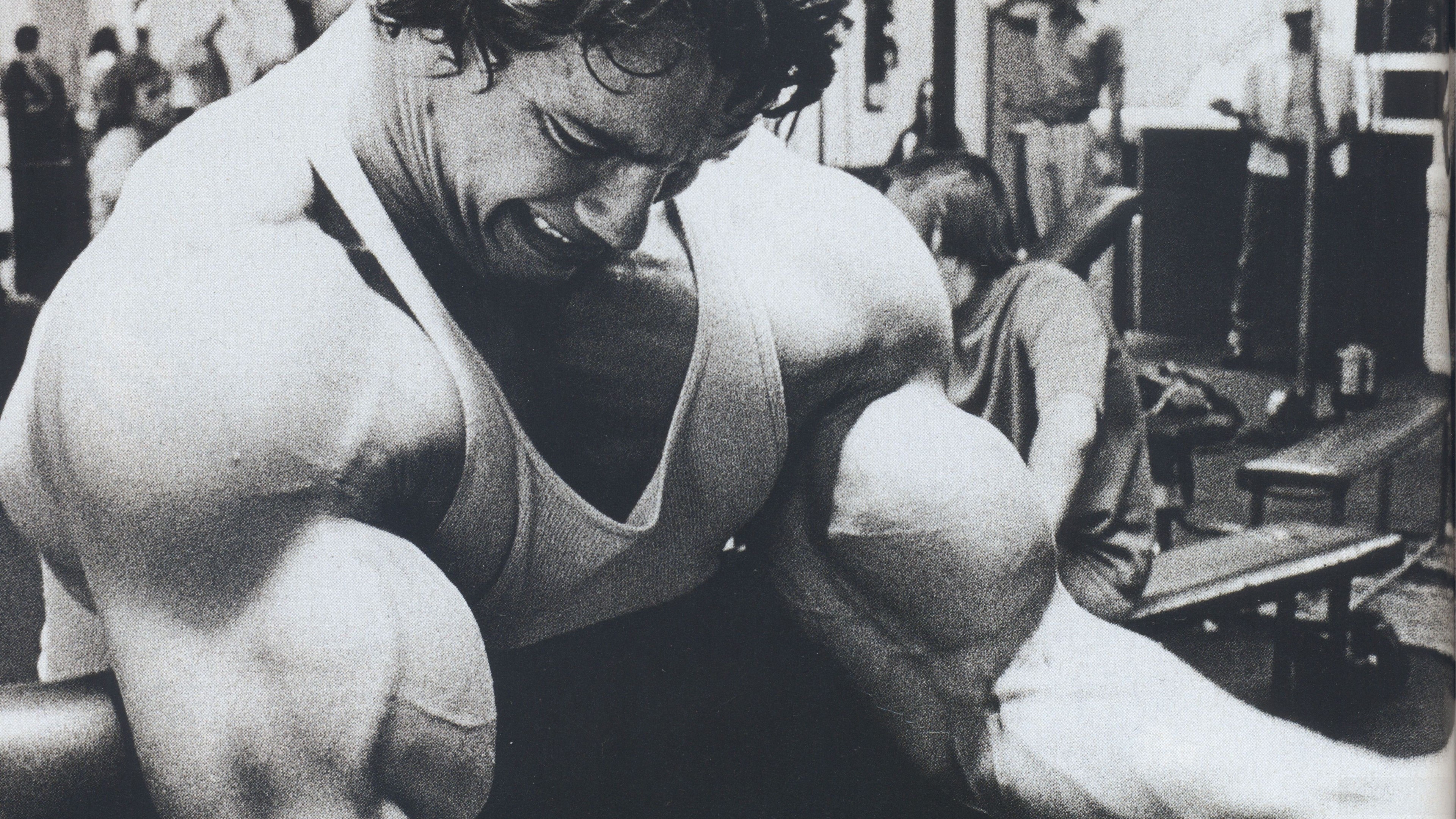 Arnold Schwarzenegger training in a gym HD Wallpaper
