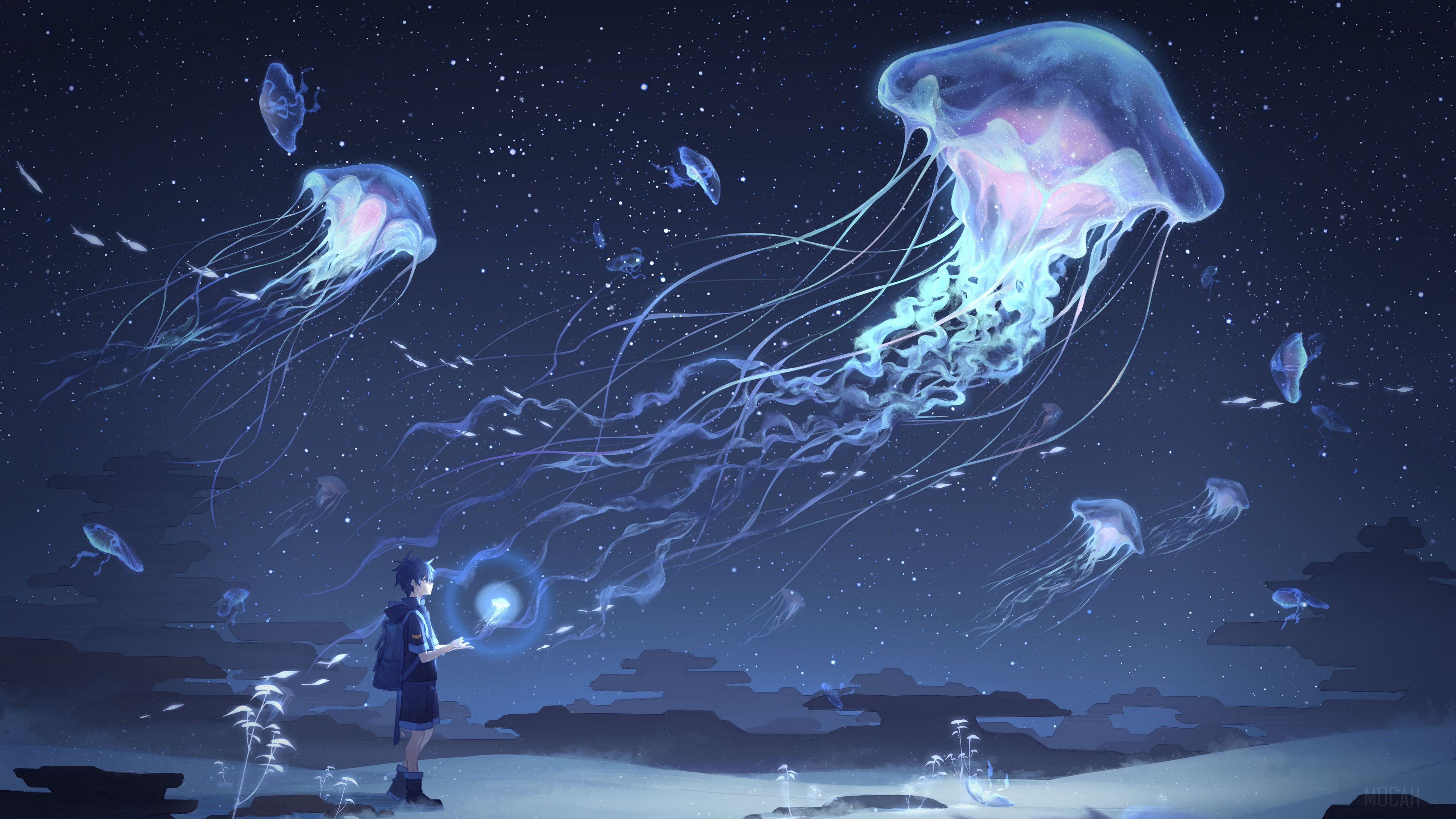 Boy with Jellyfish in Starry Night Sky 4K HD Wallpaper