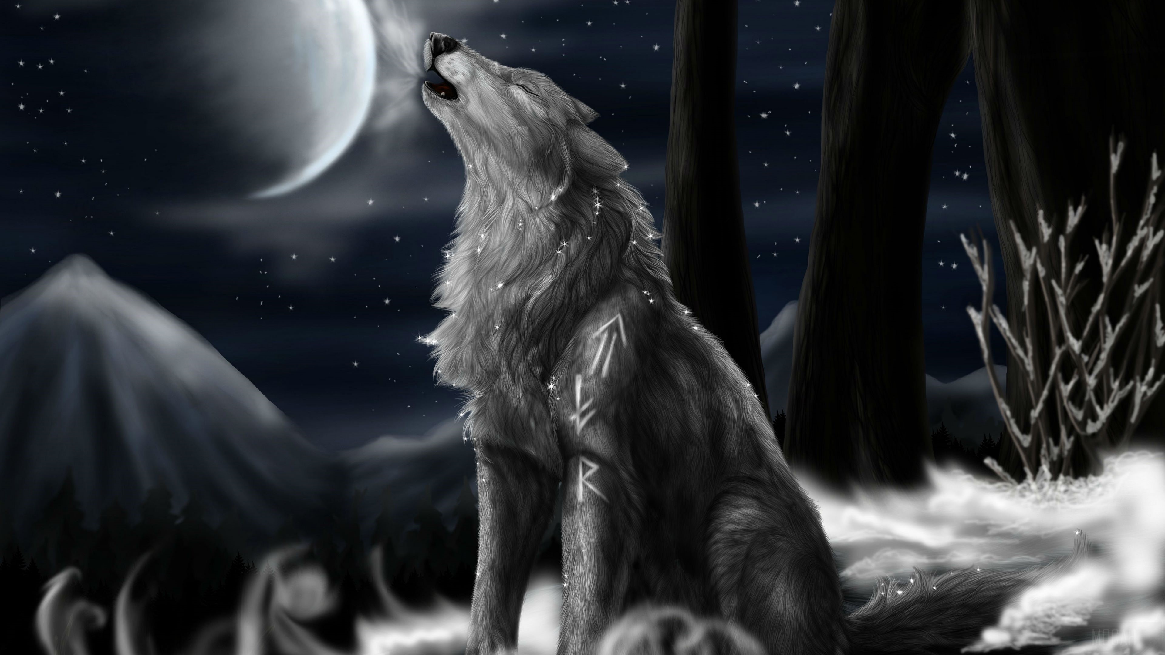 Wolf howling at the moon in a forest HD Wallpaper