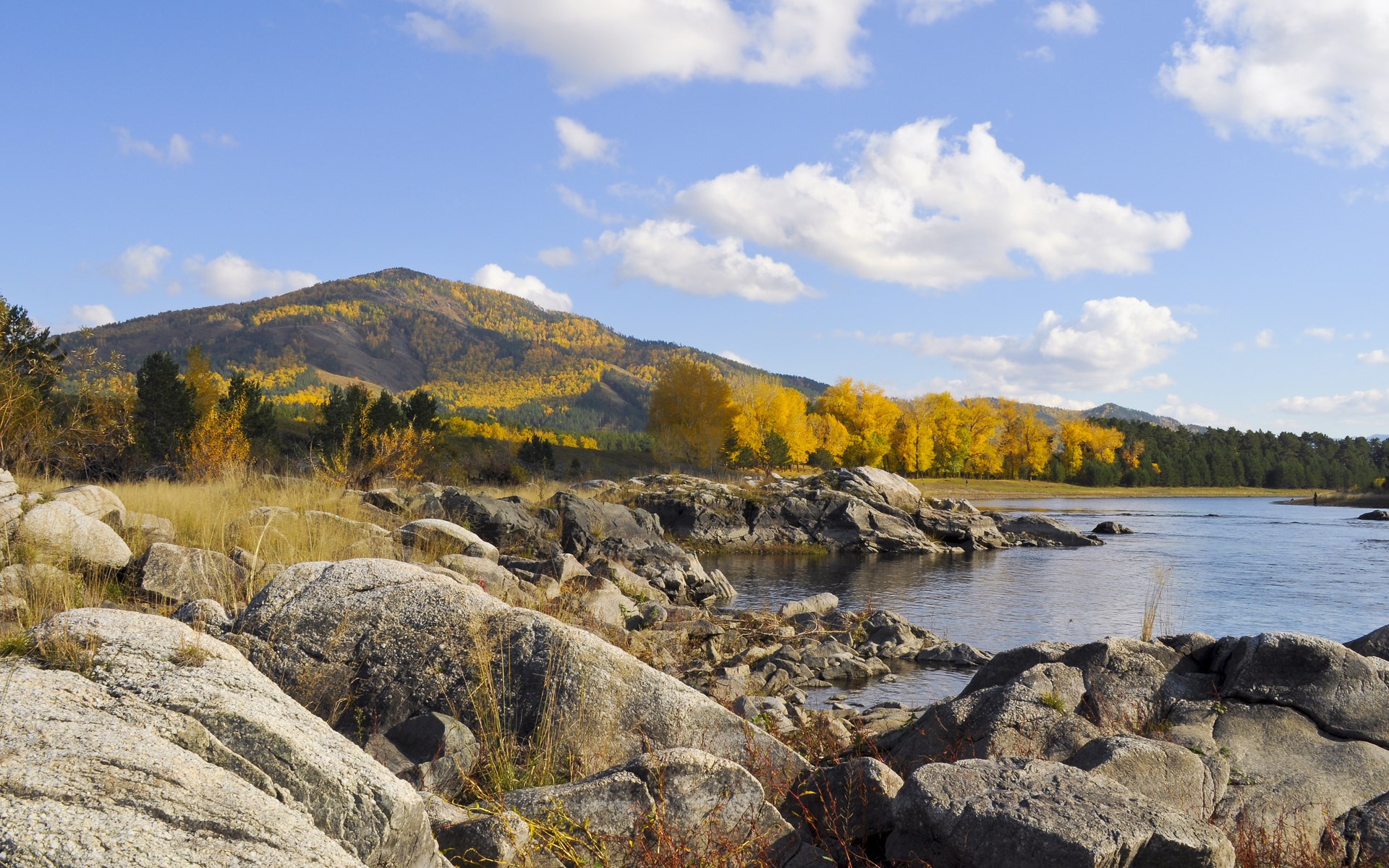 Rocky riverbank with autumn trees and mountain HD Wallpaper