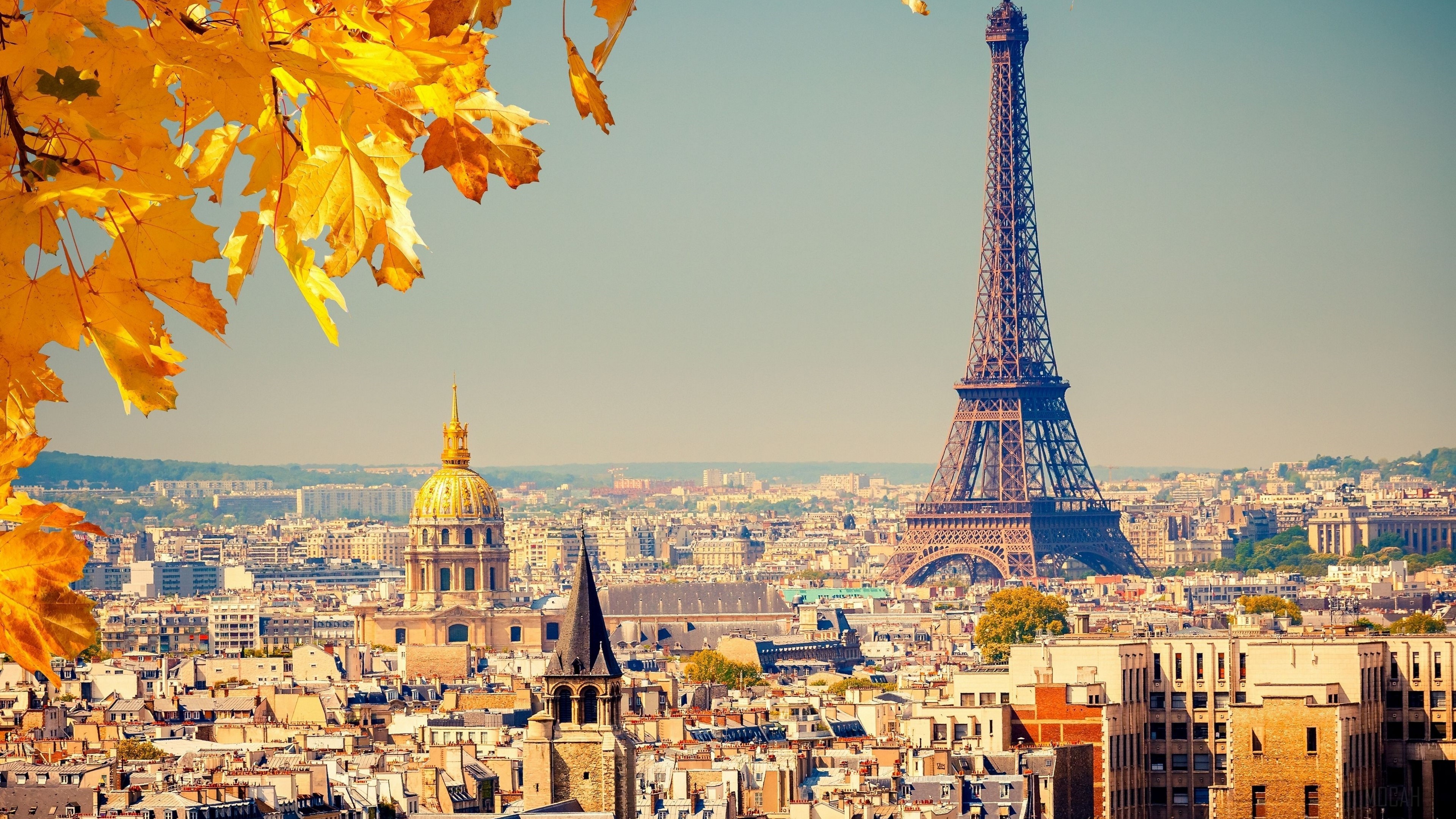 Eiffel Tower in Paris with Autumn Foliage 4K HD Wallpaper