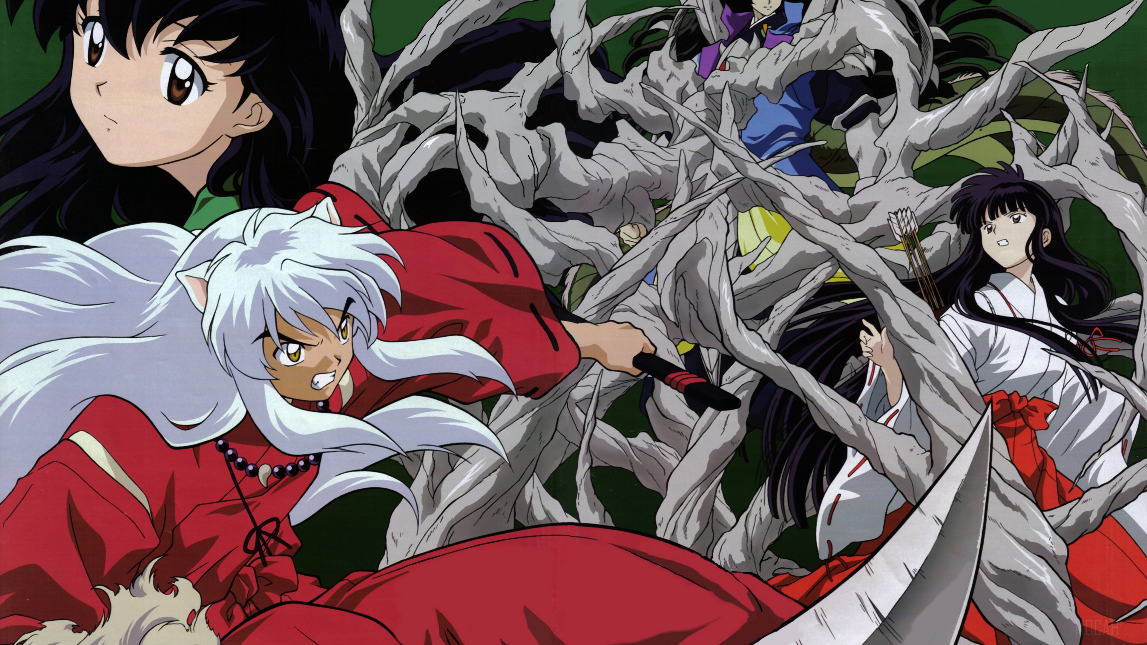 Inuyasha characters fighting amidst twisted branches HD Wallpaper