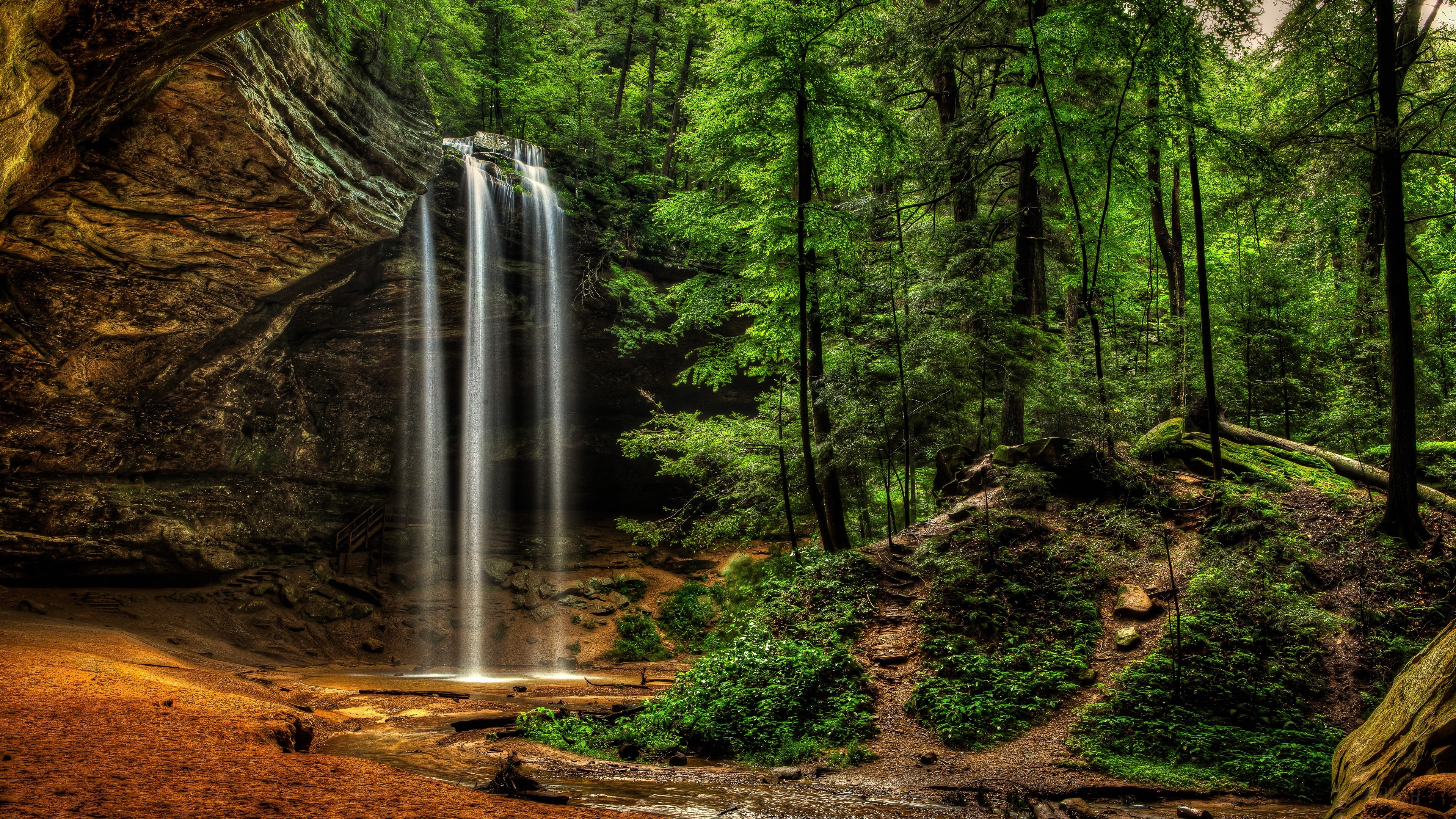 Waterfall in a Lush Green Forest HD Wallpaper