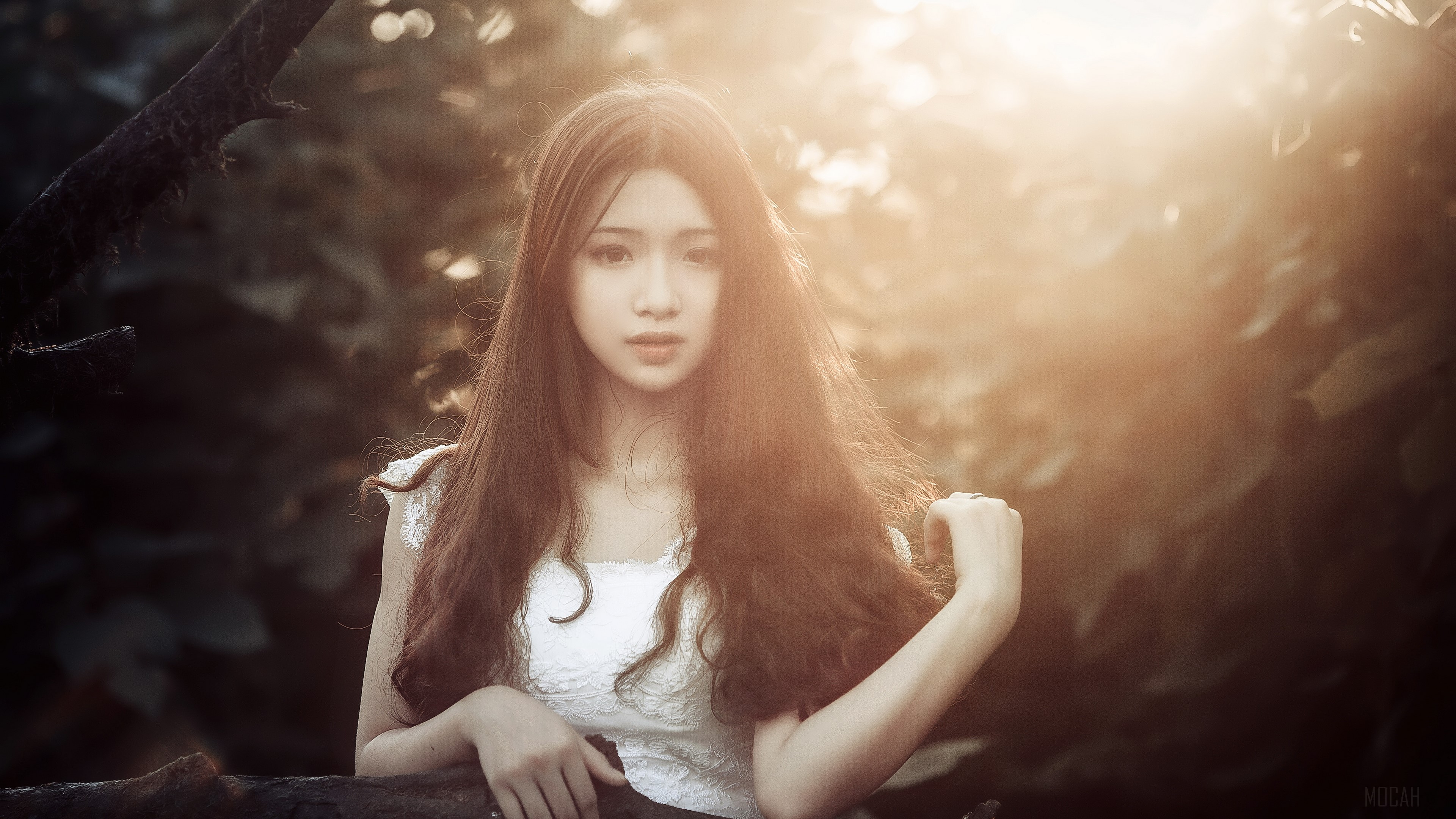 Young woman in white dress in forest HD Wallpaper