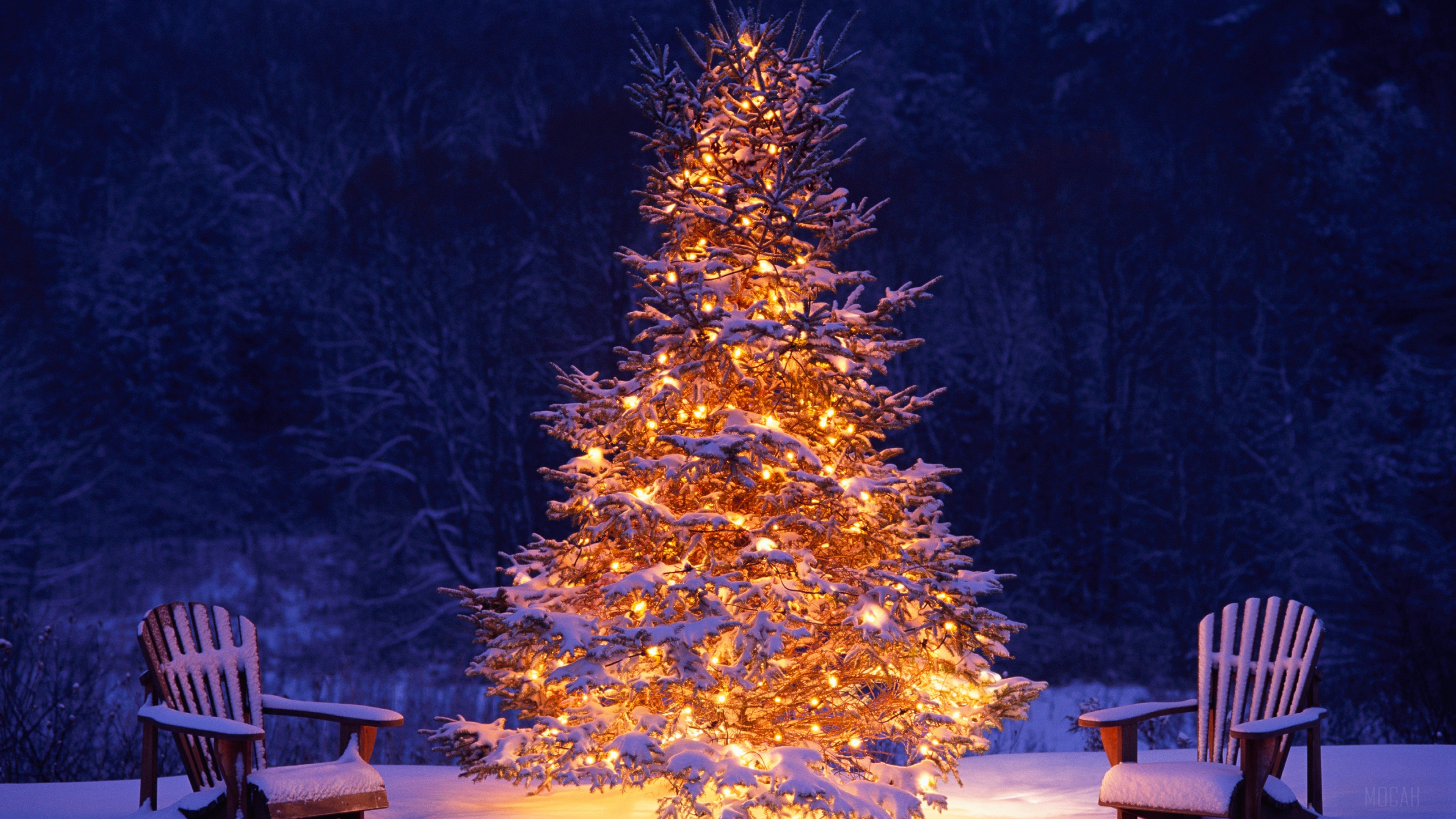 Glowing Christmas Tree with Snow and Chairs in Winter Night HD Wallpaper