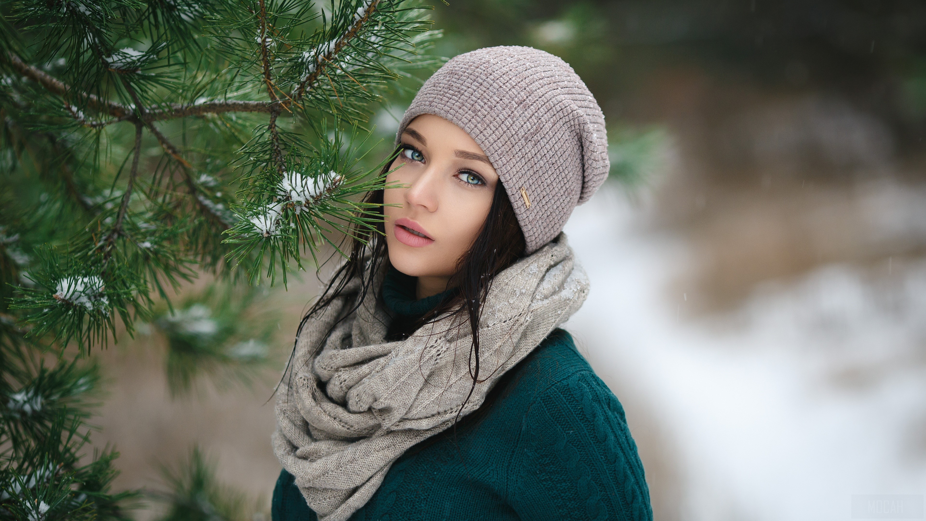 Woman in winter hat and scarf near pine tree HD Wallpaper
