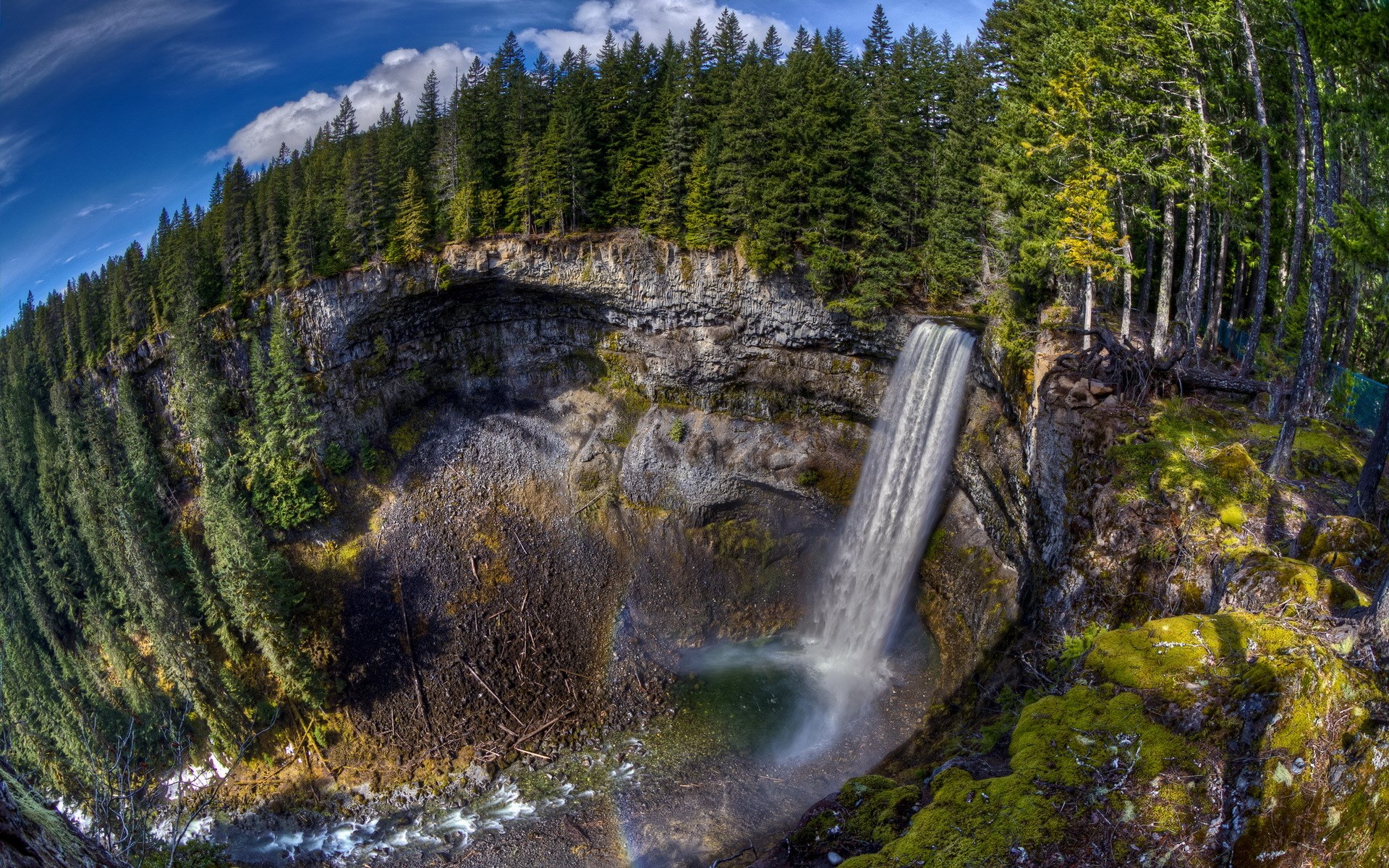 Waterfall cascading into a pool in a forest HD Wallpaper