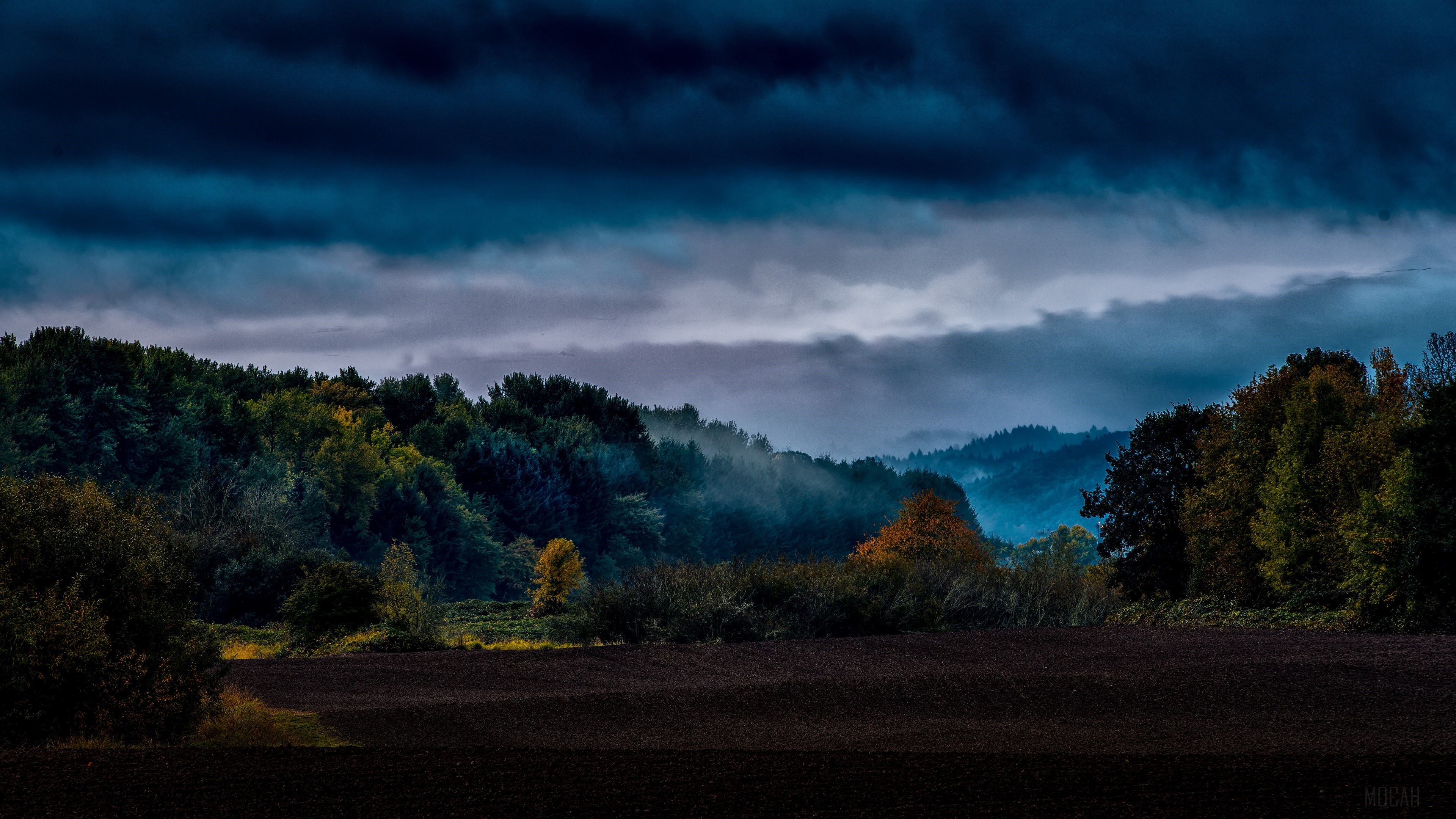 Fall forest with mist and dark clouds HD Wallpaper