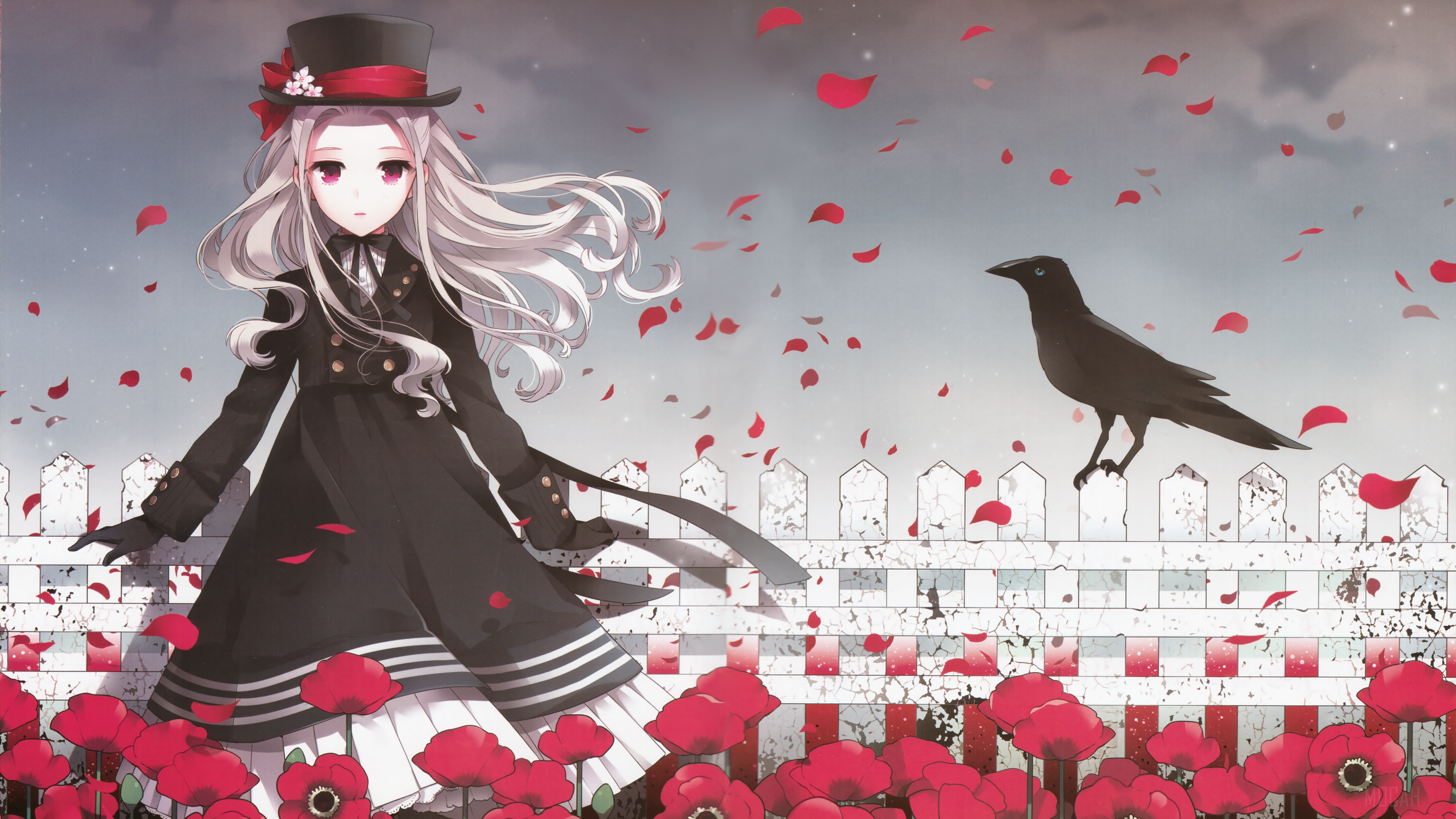 Girl in black coat and hat with crow and poppies HD Wallpaper