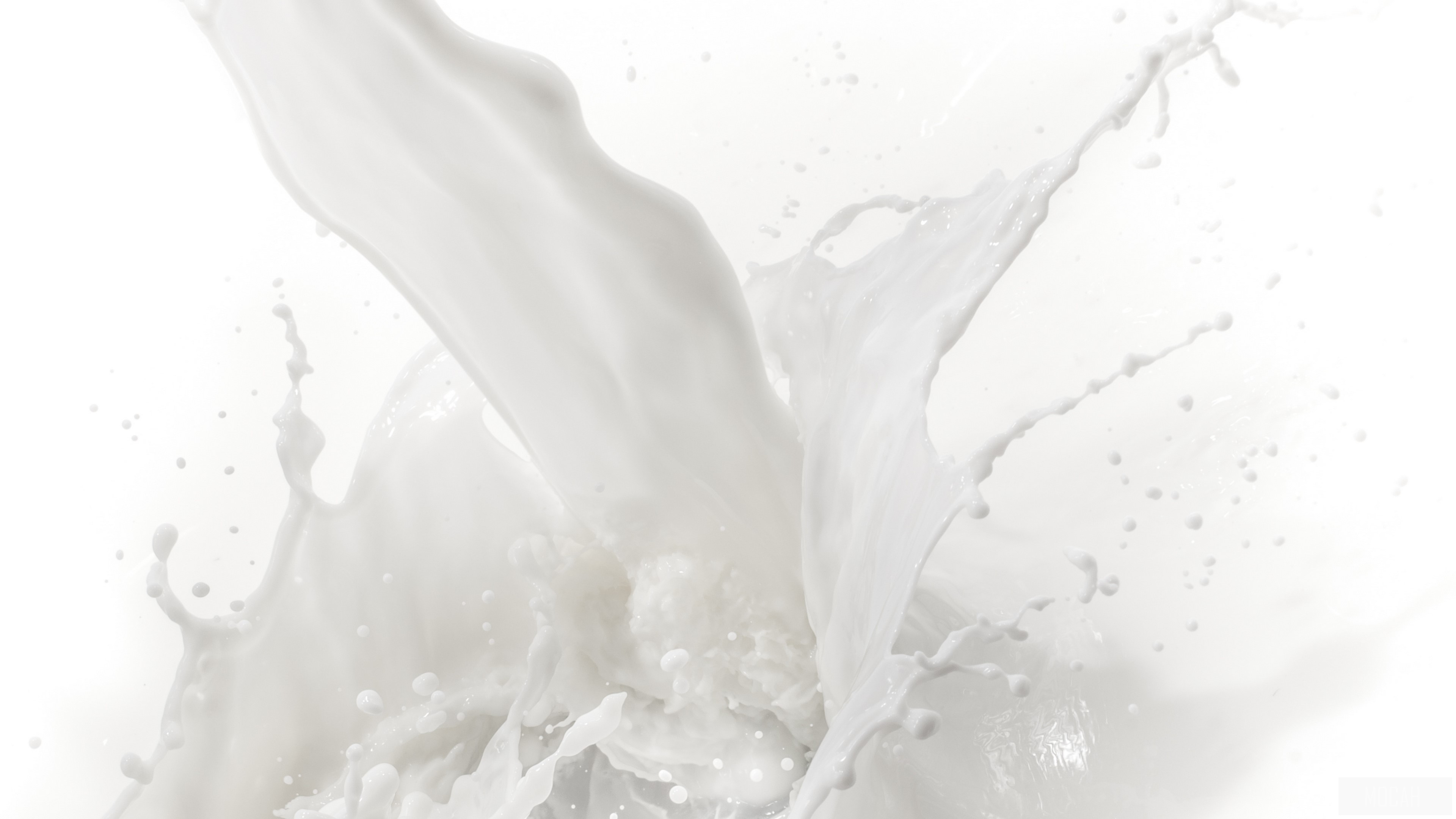 Milk Splash 4K HD Wallpaper