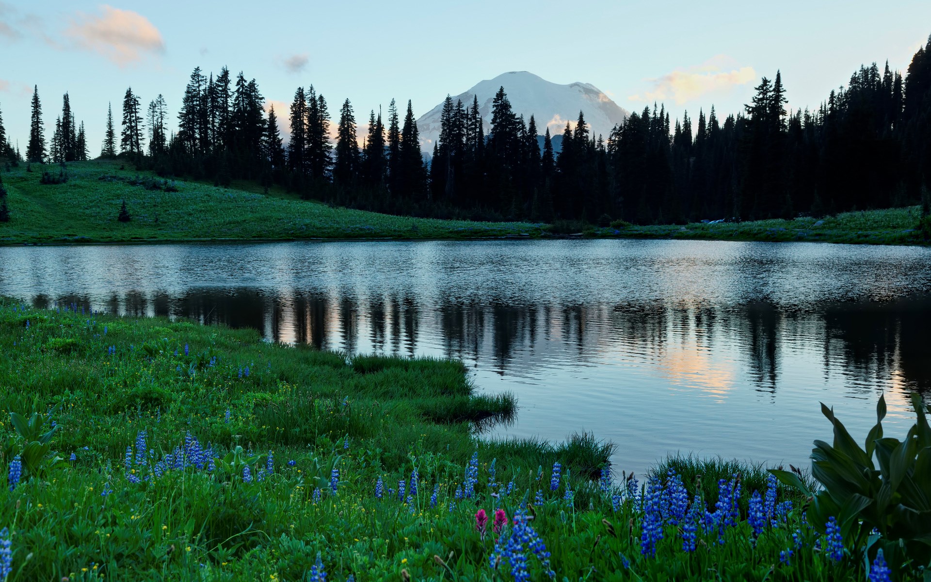 Lake and Mountain Landscape with Wildflowers HD Wallpaper