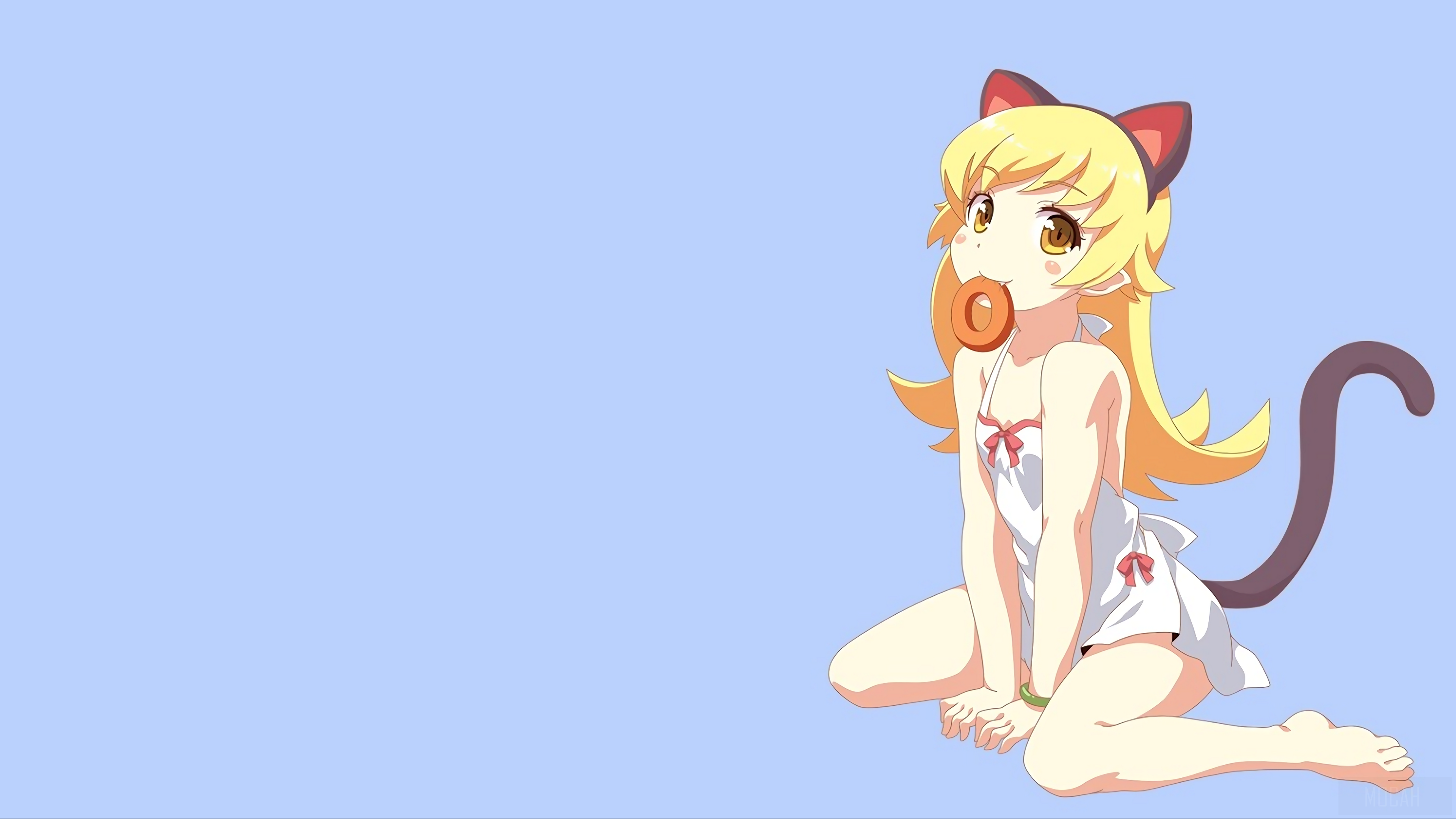 Shinobu Oshino from Bakemonogatari with Cat Ears and Tail HD Wallpaper