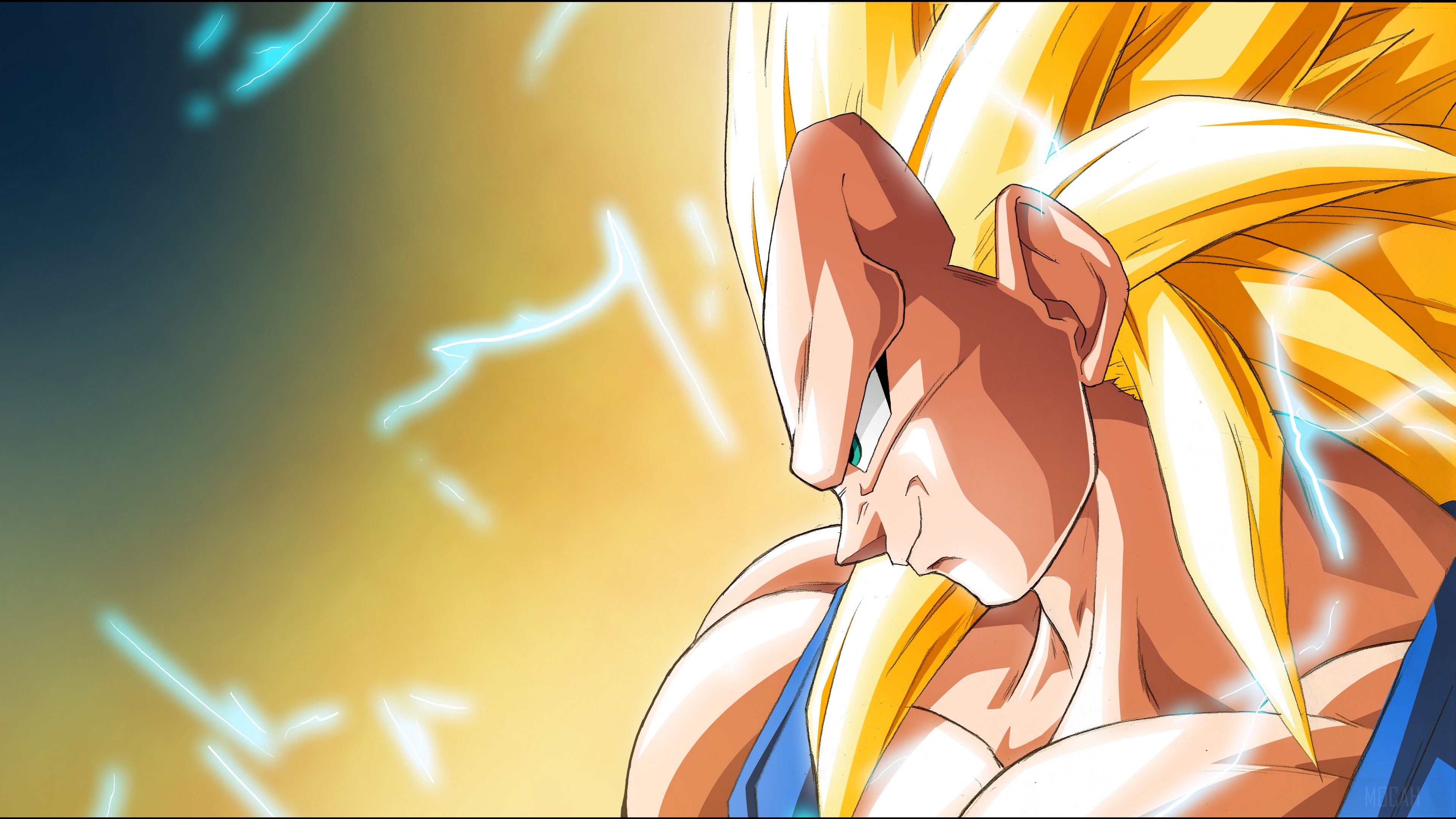 Vegeta from Dragon Ball Z in Super Saiyan 3 HD Wallpaper