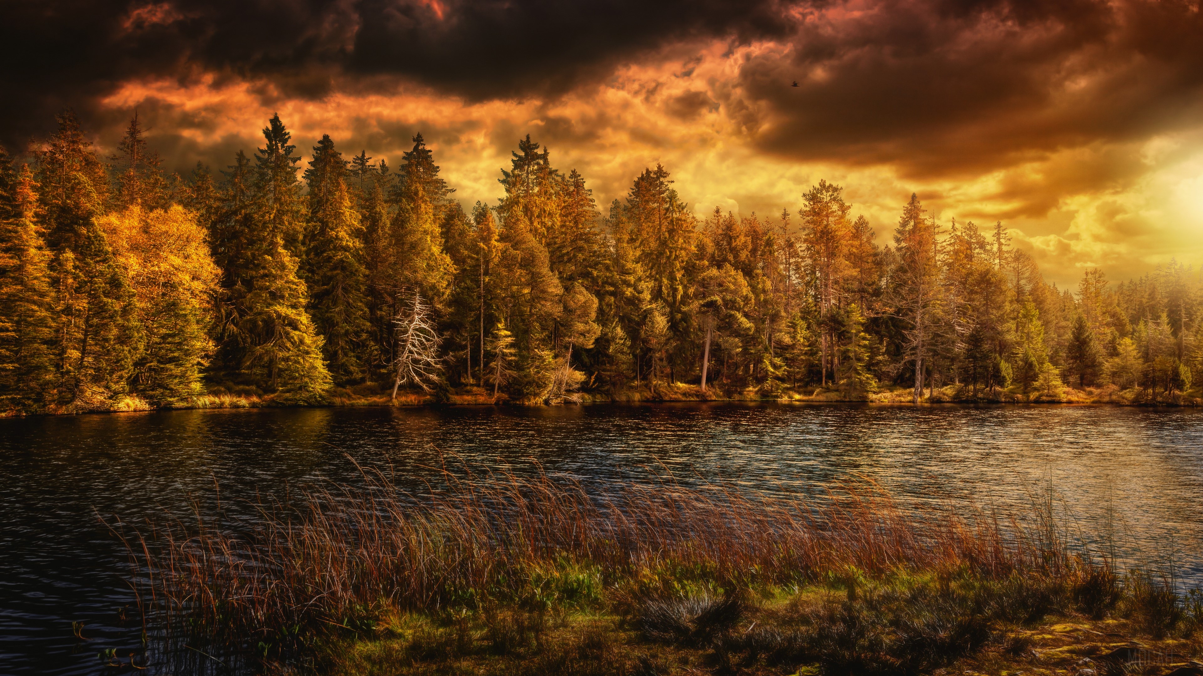 Sunset Over Etang De La Gruere Lake, Switzerland 4K HD Wallpaper