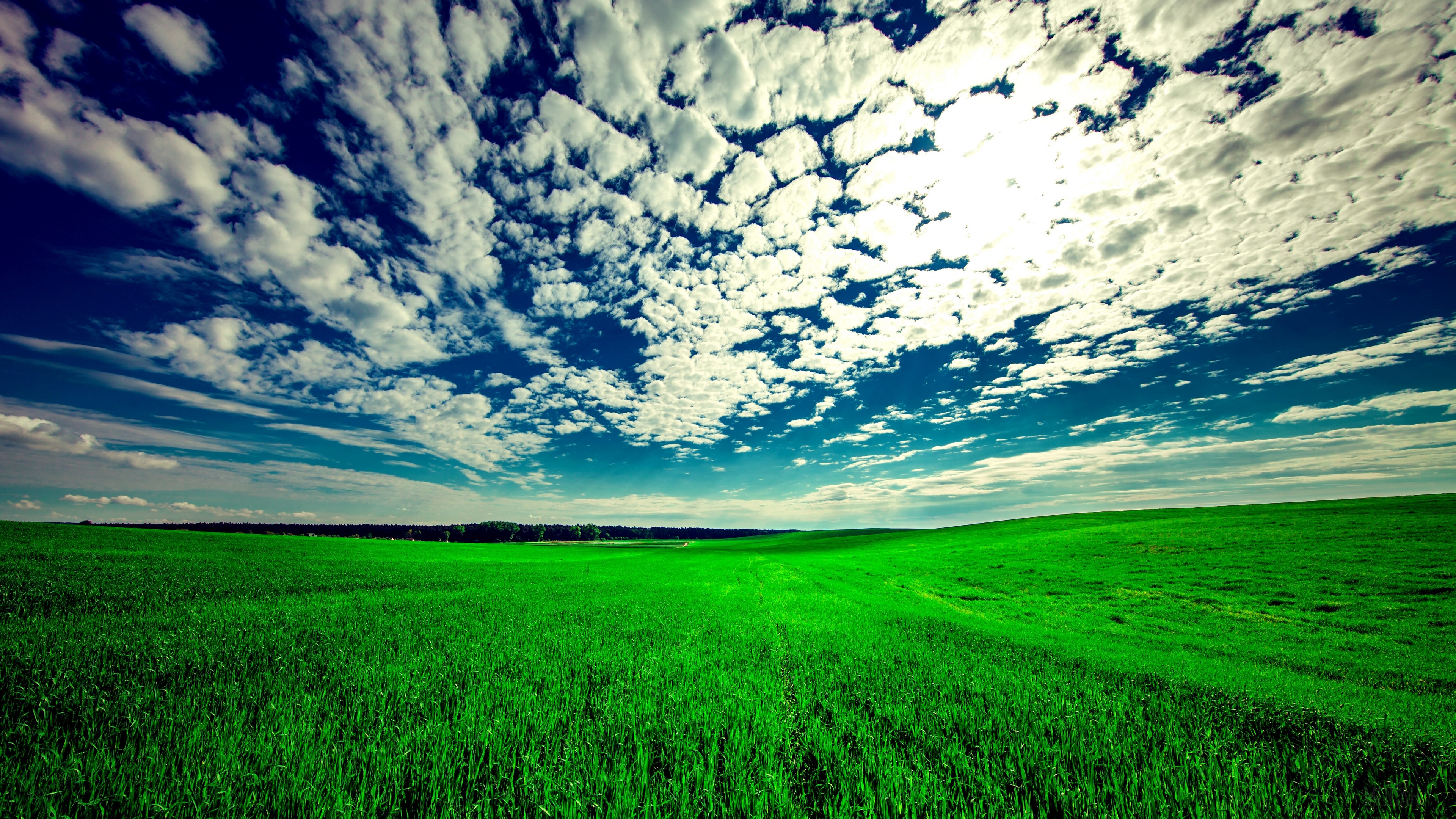 Vast green field under a cloudy blue sky 4K HD Wallpaper