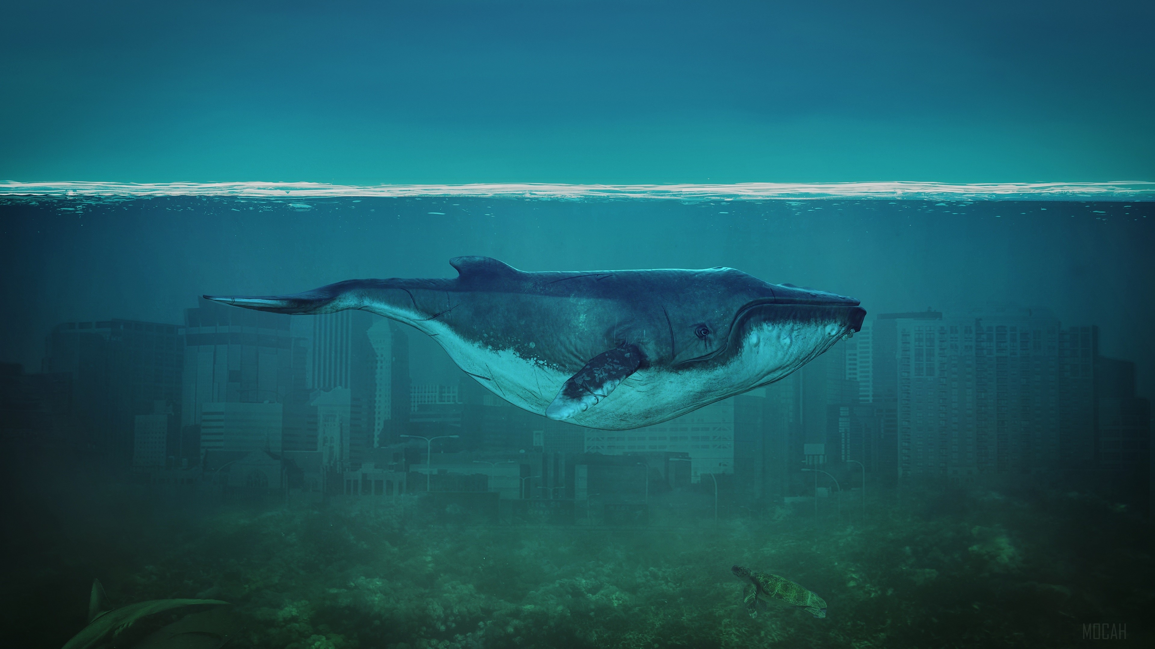 Whale swimming over submerged city with shark and turtle HD Wallpaper