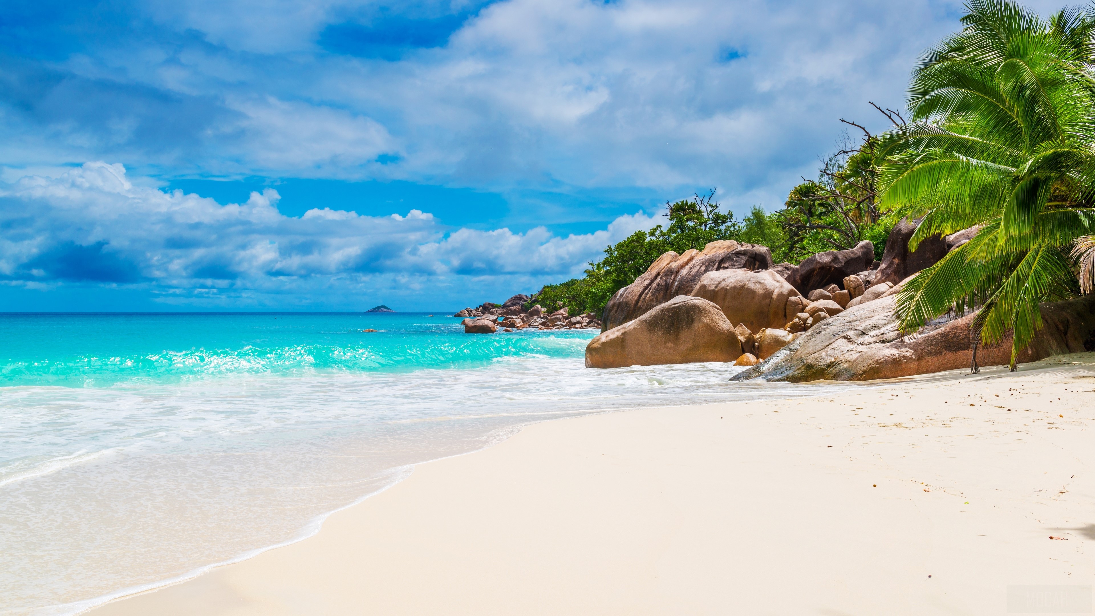 Tropical Beach with Turquoise Water and Palm Trees HD Wallpaper