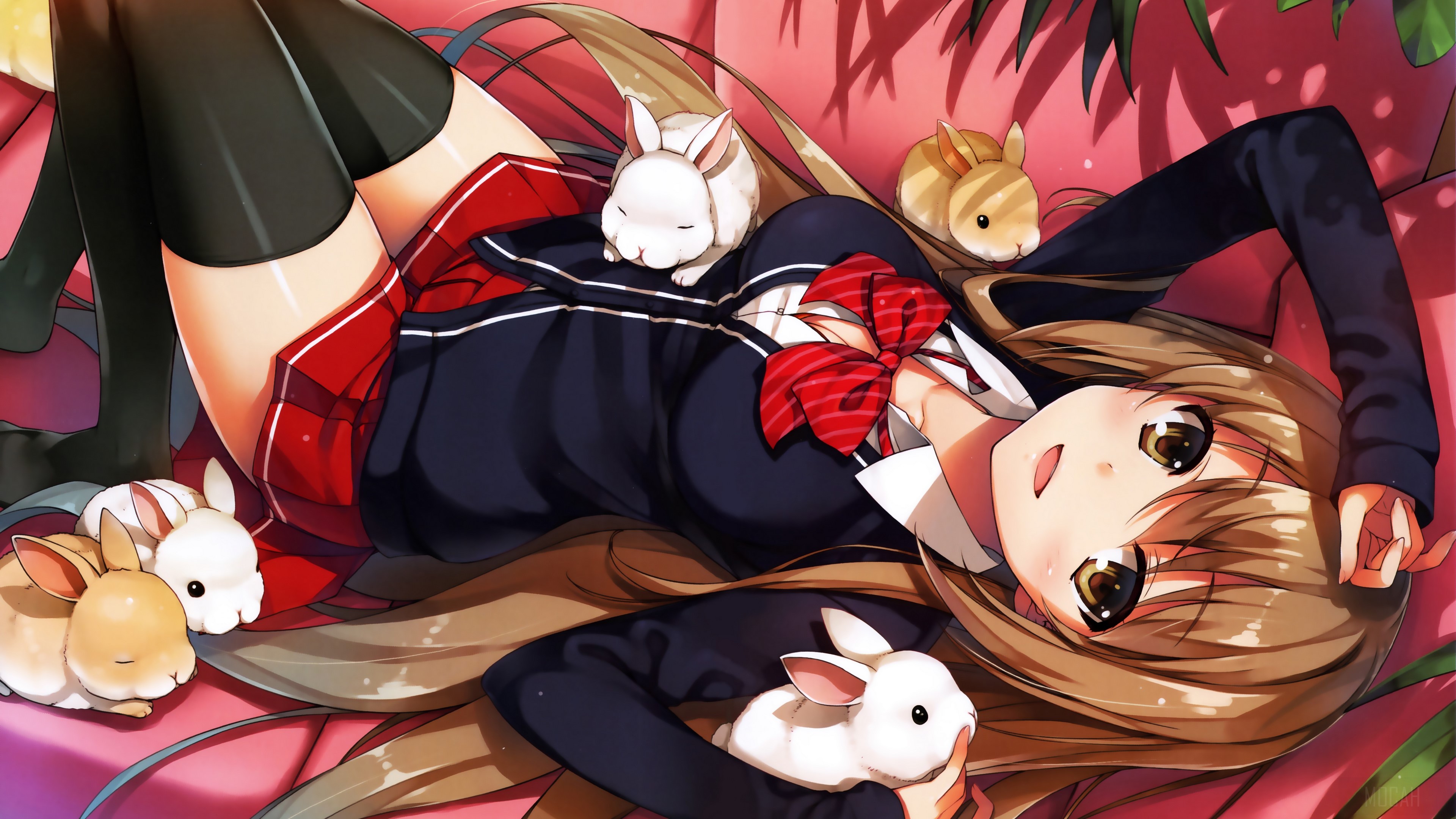 Anime girl with rabbits HD Wallpaper