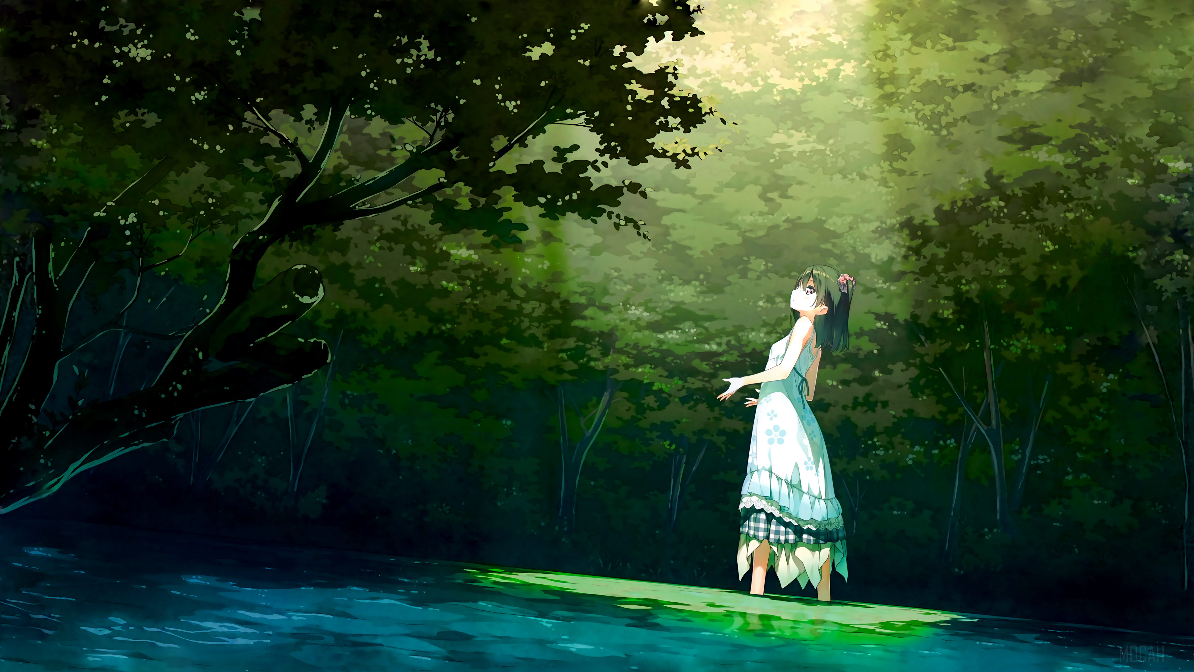 Girl in a white dress in a forest by the water HD Wallpaper