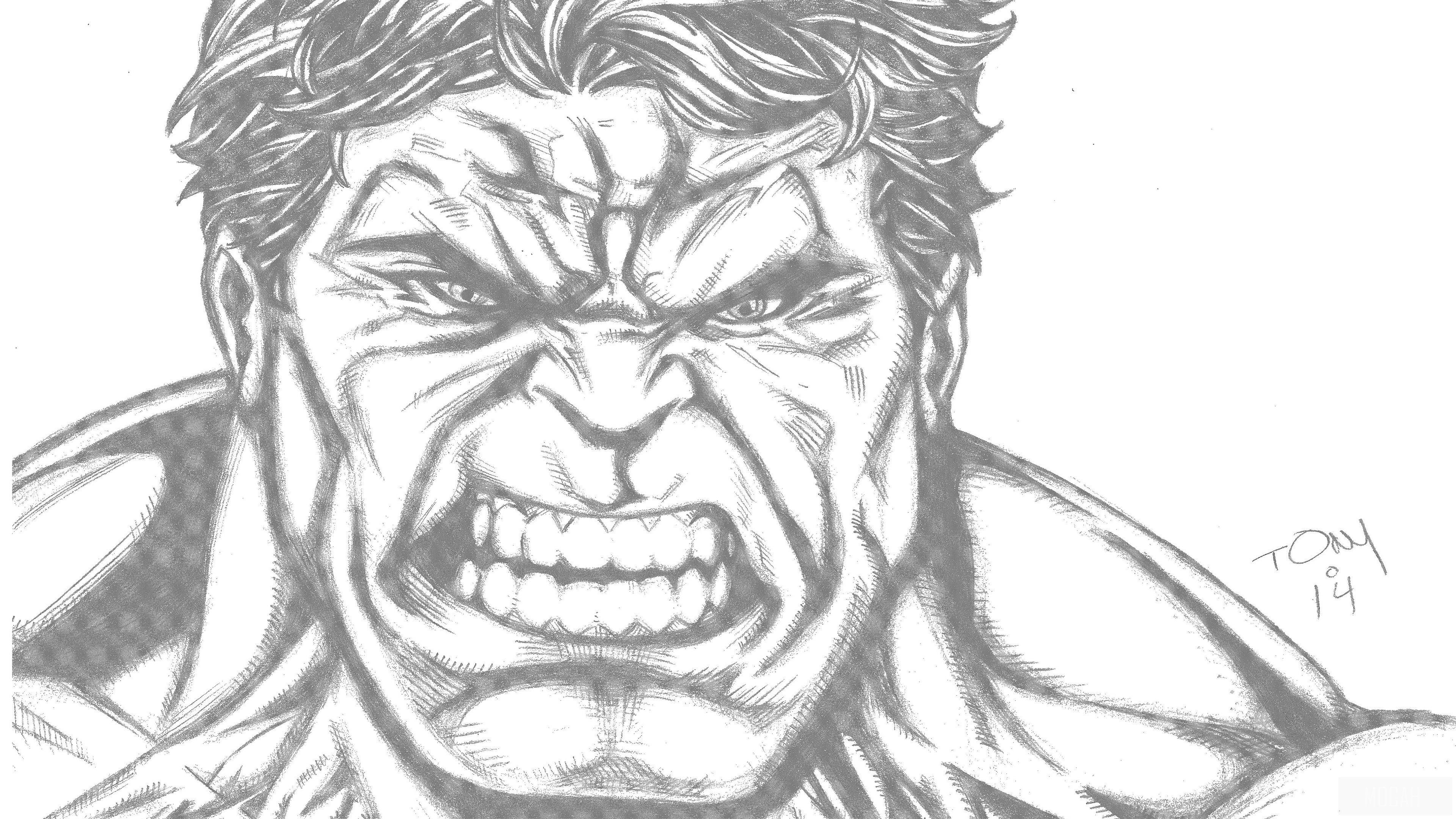The Hulk from Marvel Comics HD Wallpaper