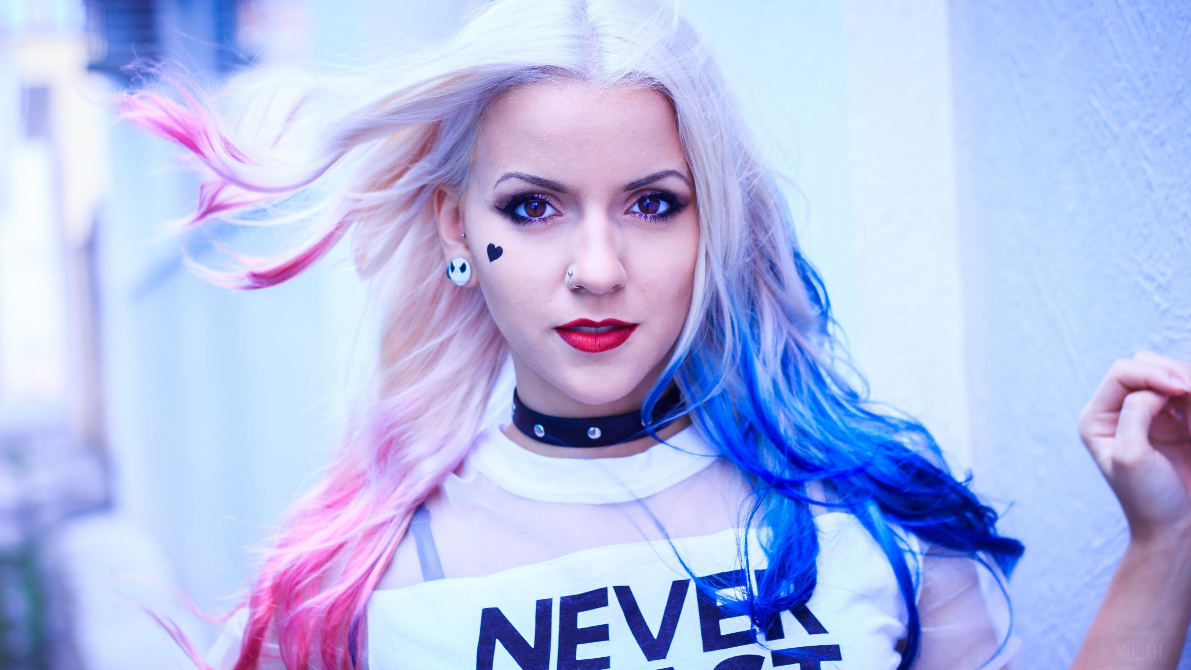 Harley Quinn HD Wallpaper