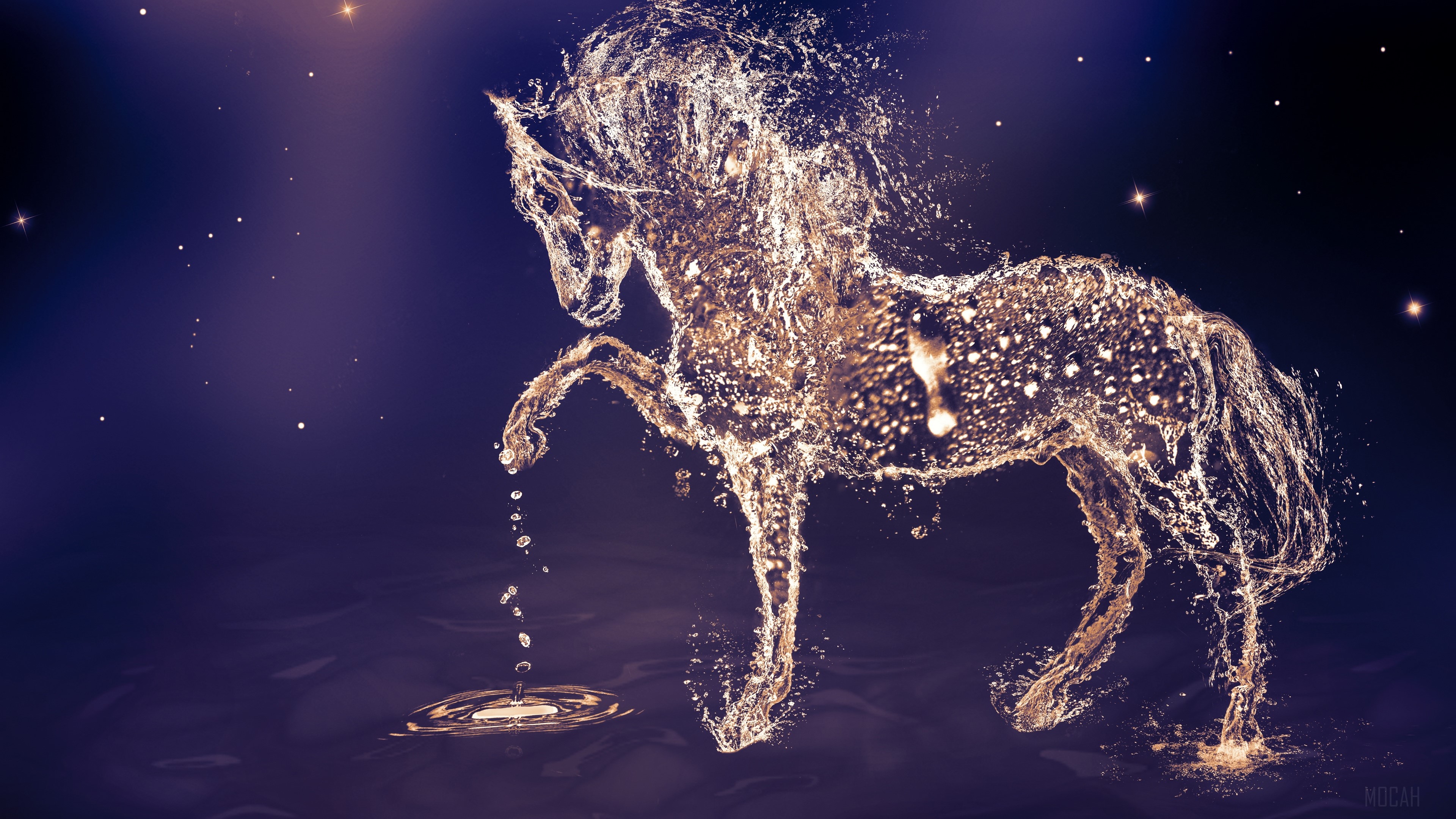 Unicorn made of water in starry night HD Wallpaper