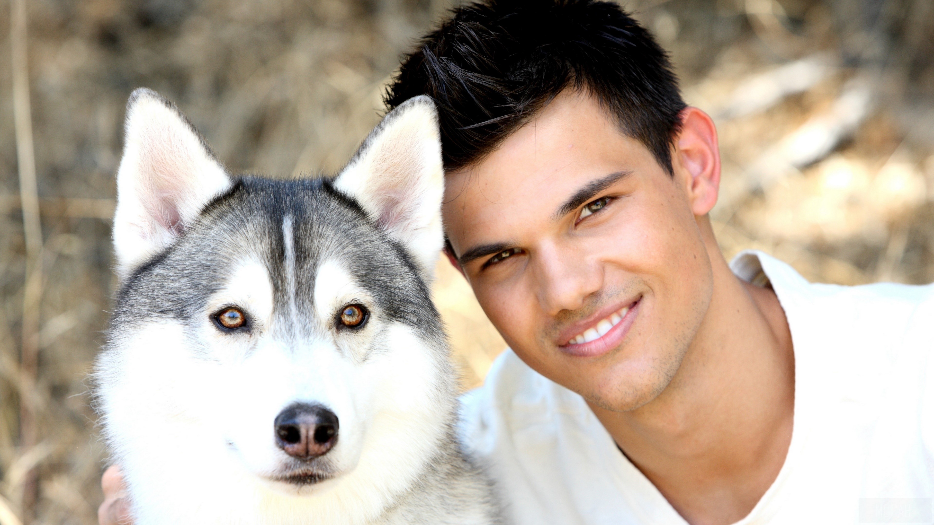 Taylor Lautner with a husky dog HD Wallpaper