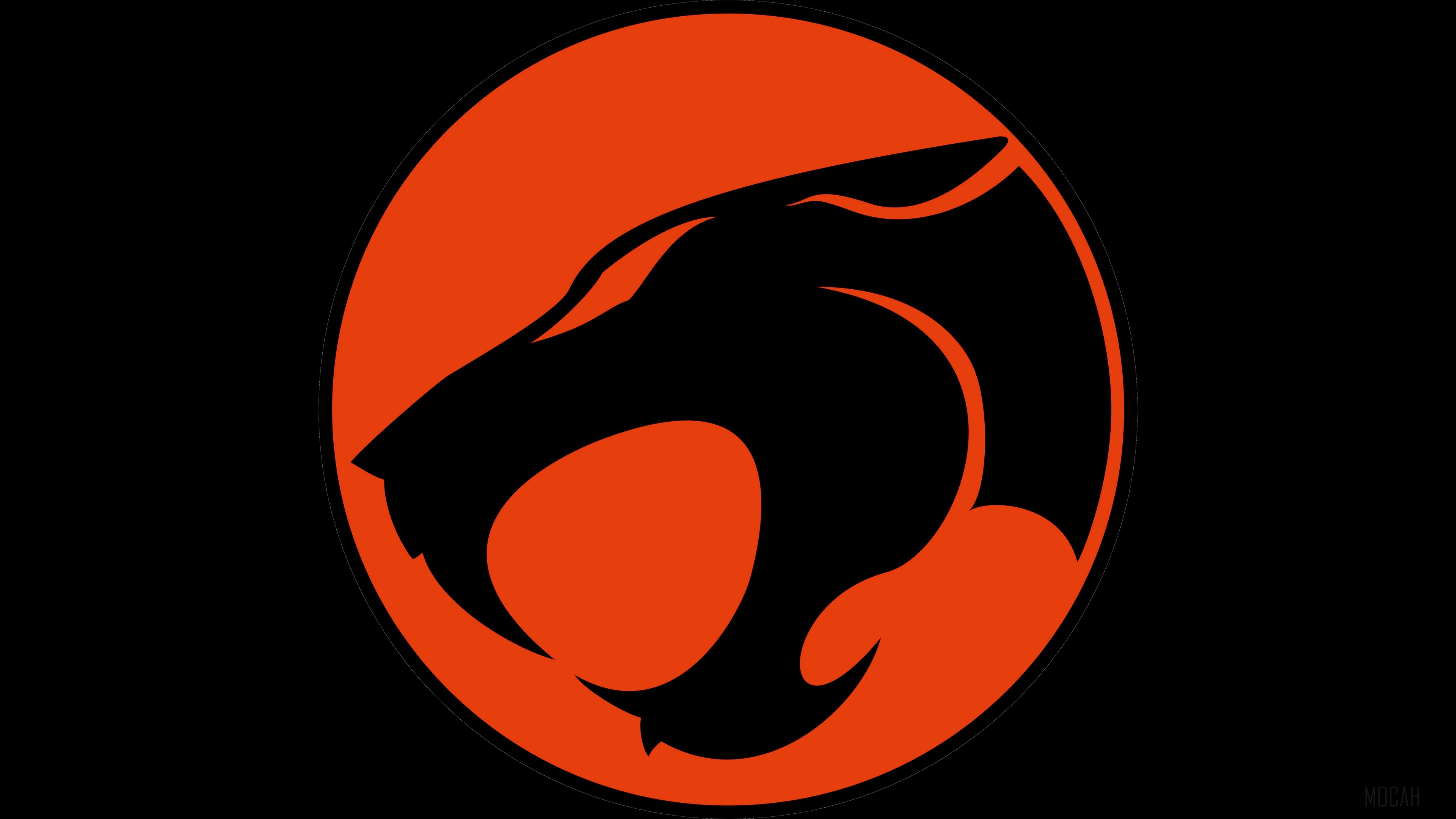 Thundercats logo HD Wallpaper