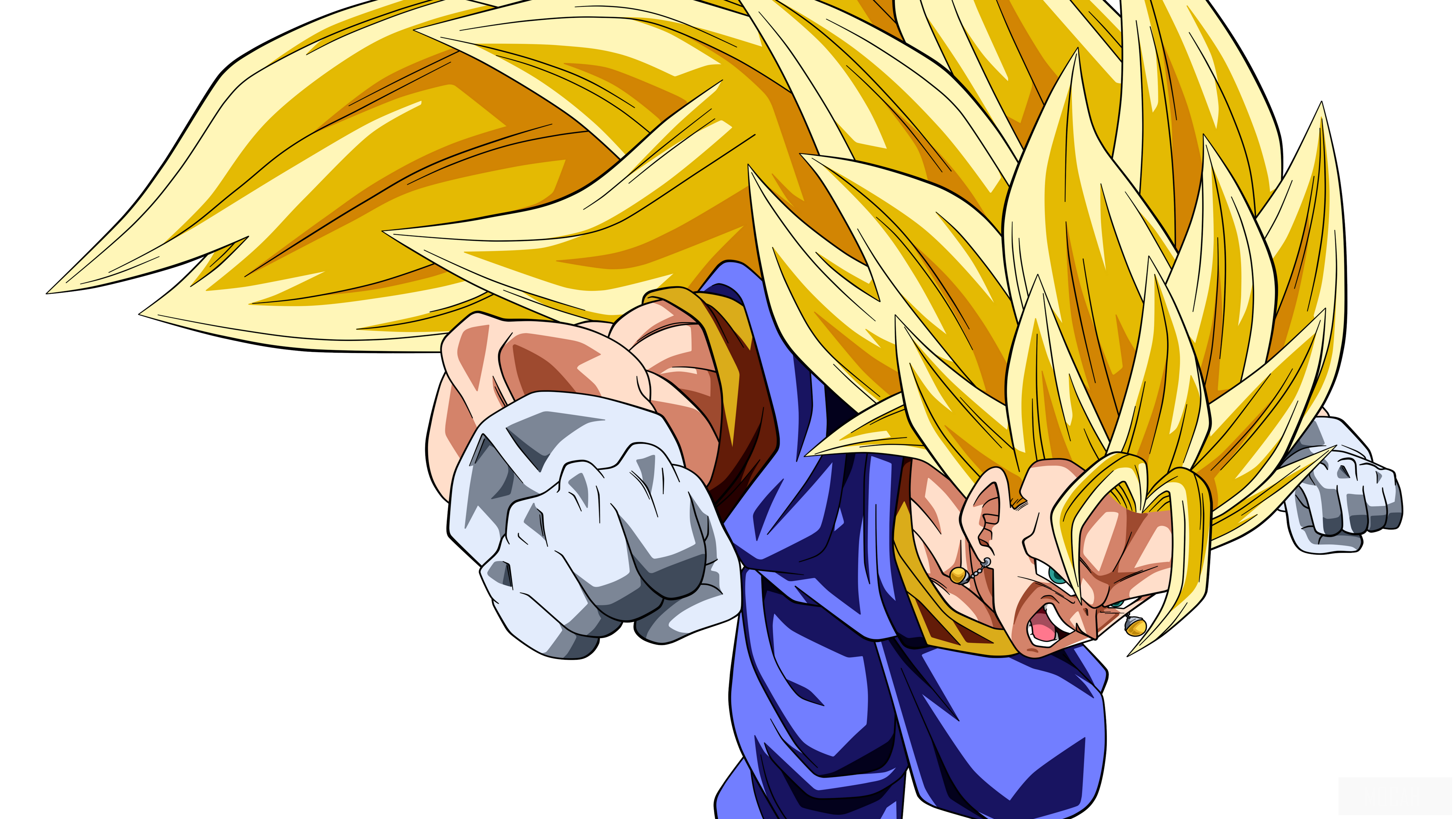 Vegetto from Dragon Ball Z in Super Saiyan 3 HD Wallpaper