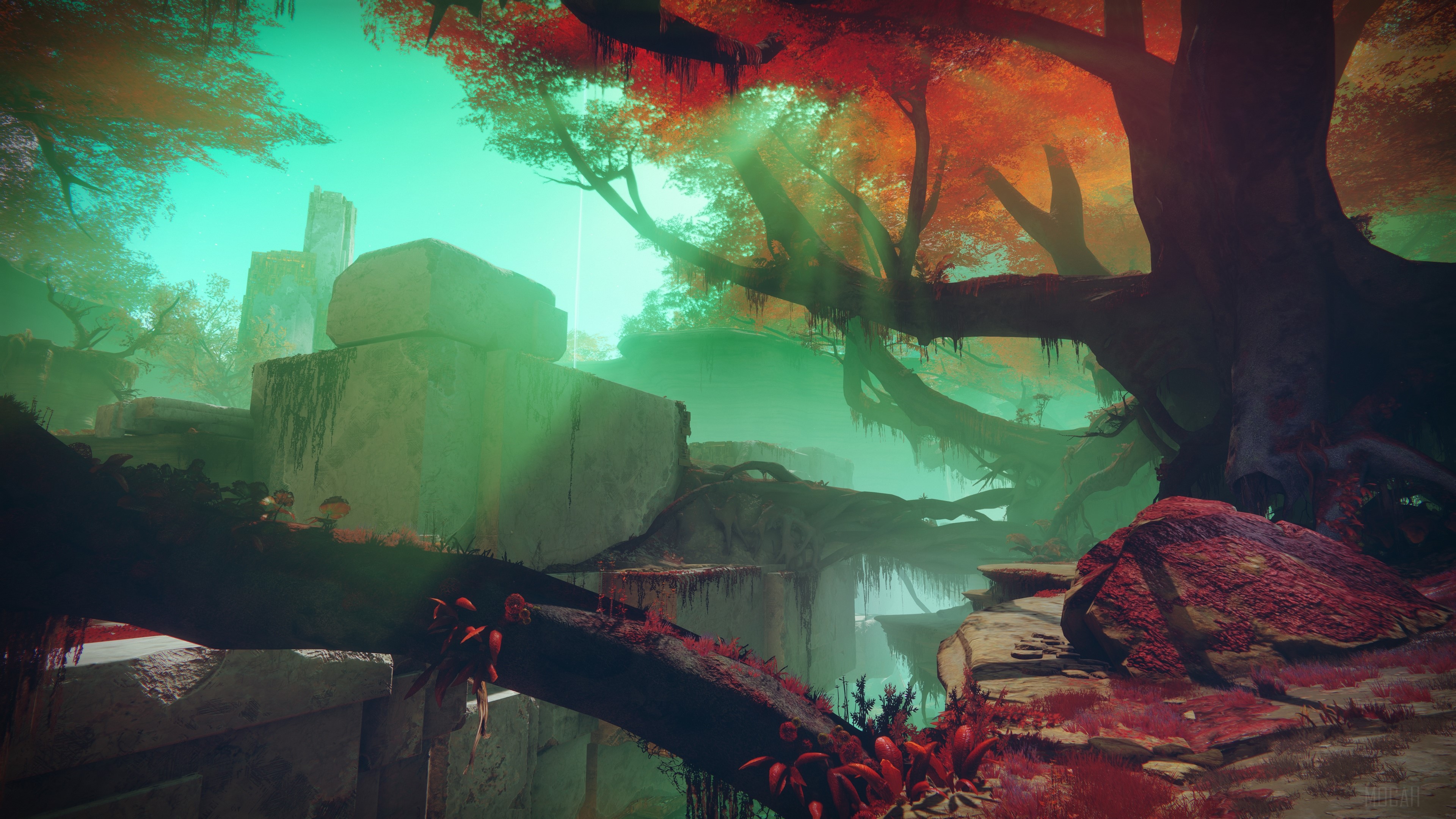 Alien forest with ancient ruins HD Wallpaper