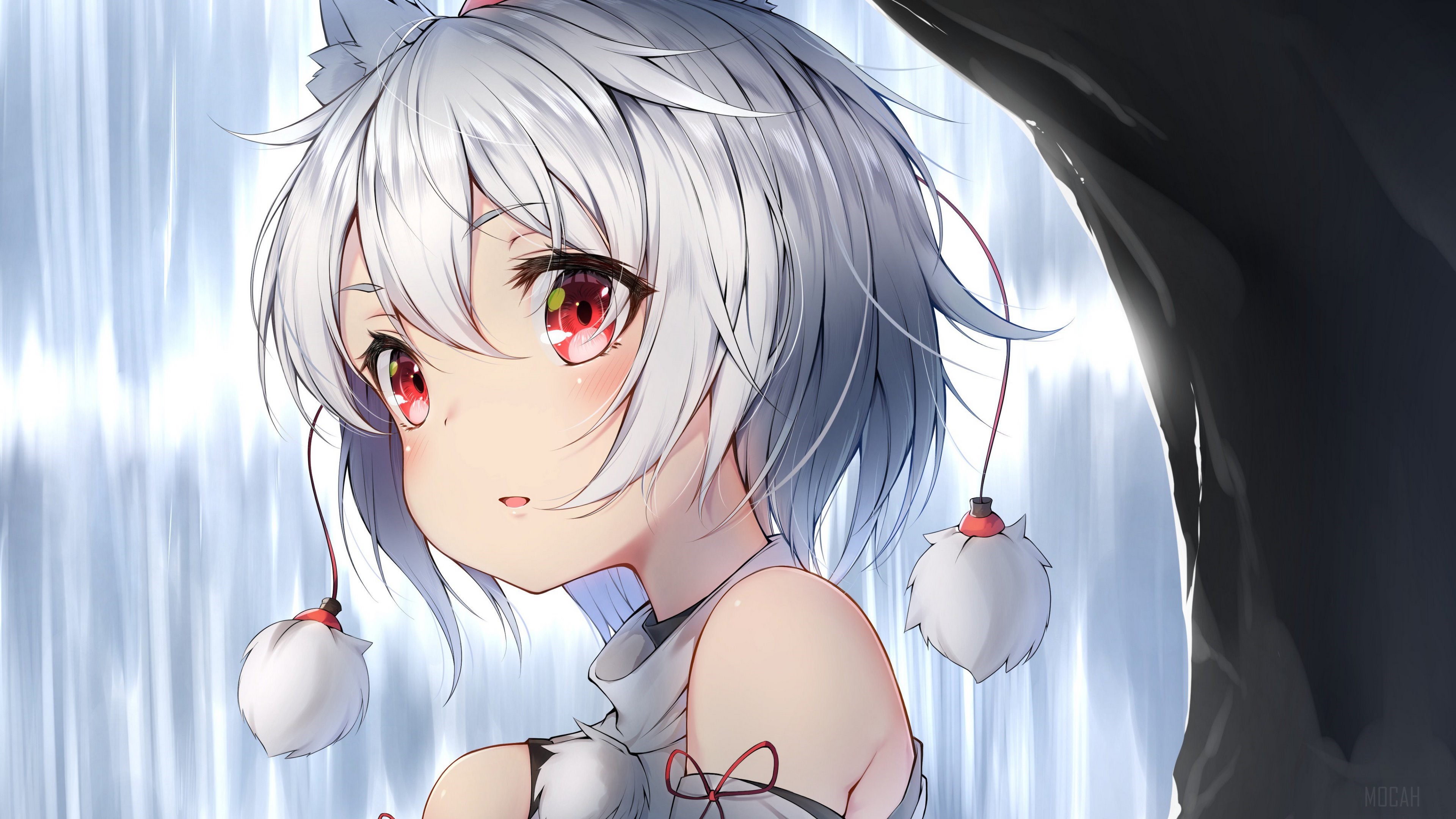 Momiji Inubashiri from Touhou with white hair and red eyes HD Wallpaper