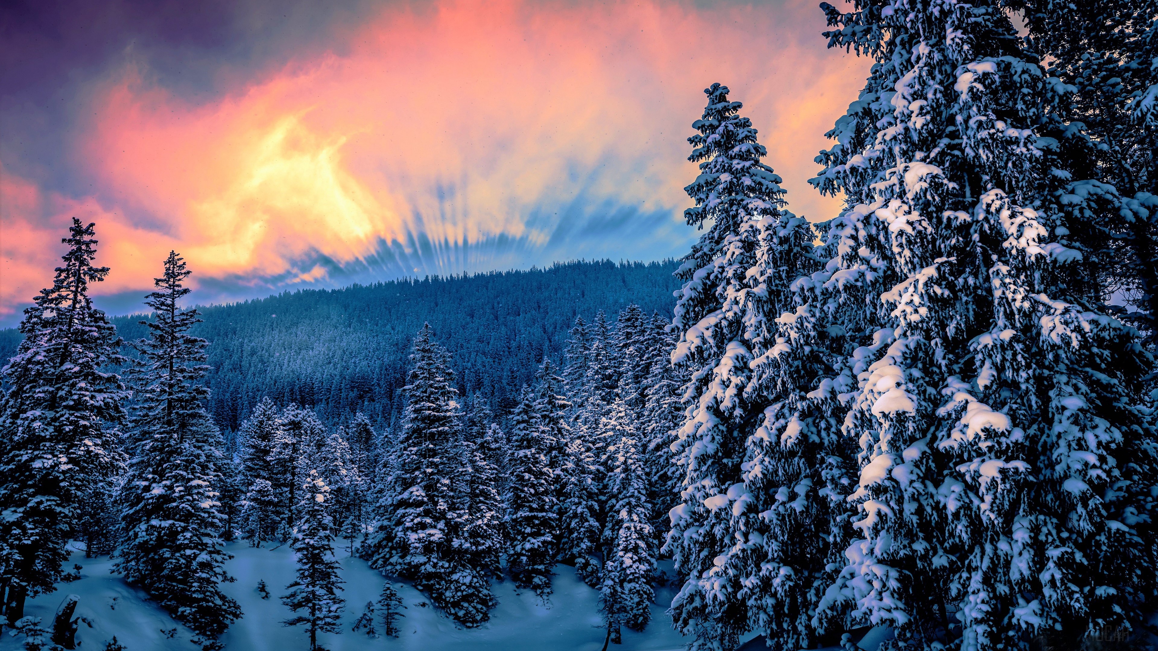 Snowy forest at sunset with colorful sky 4K HD Wallpaper