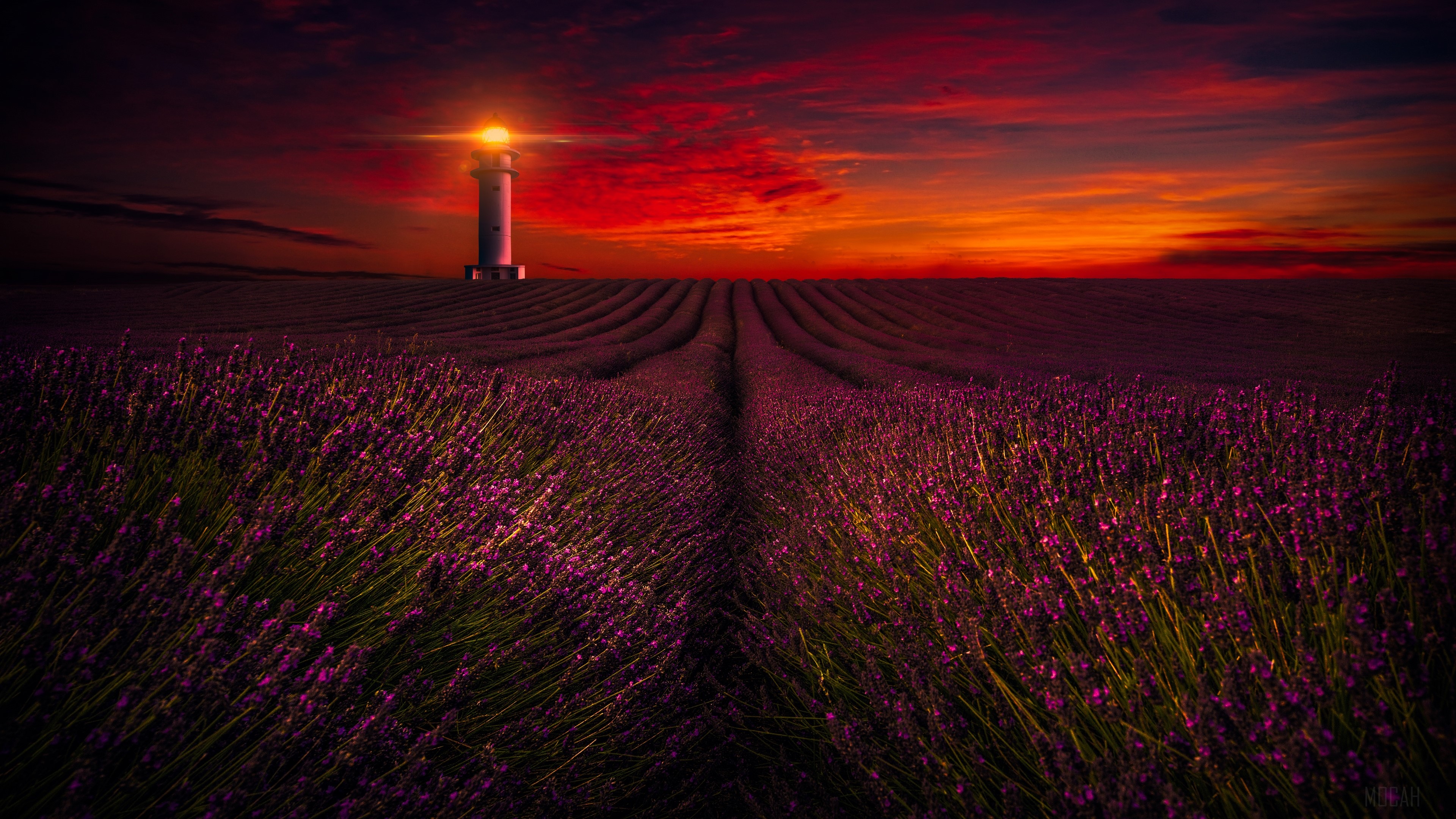 Lavender Field with Lighthouse at Sunset 4k HD Wallpaper