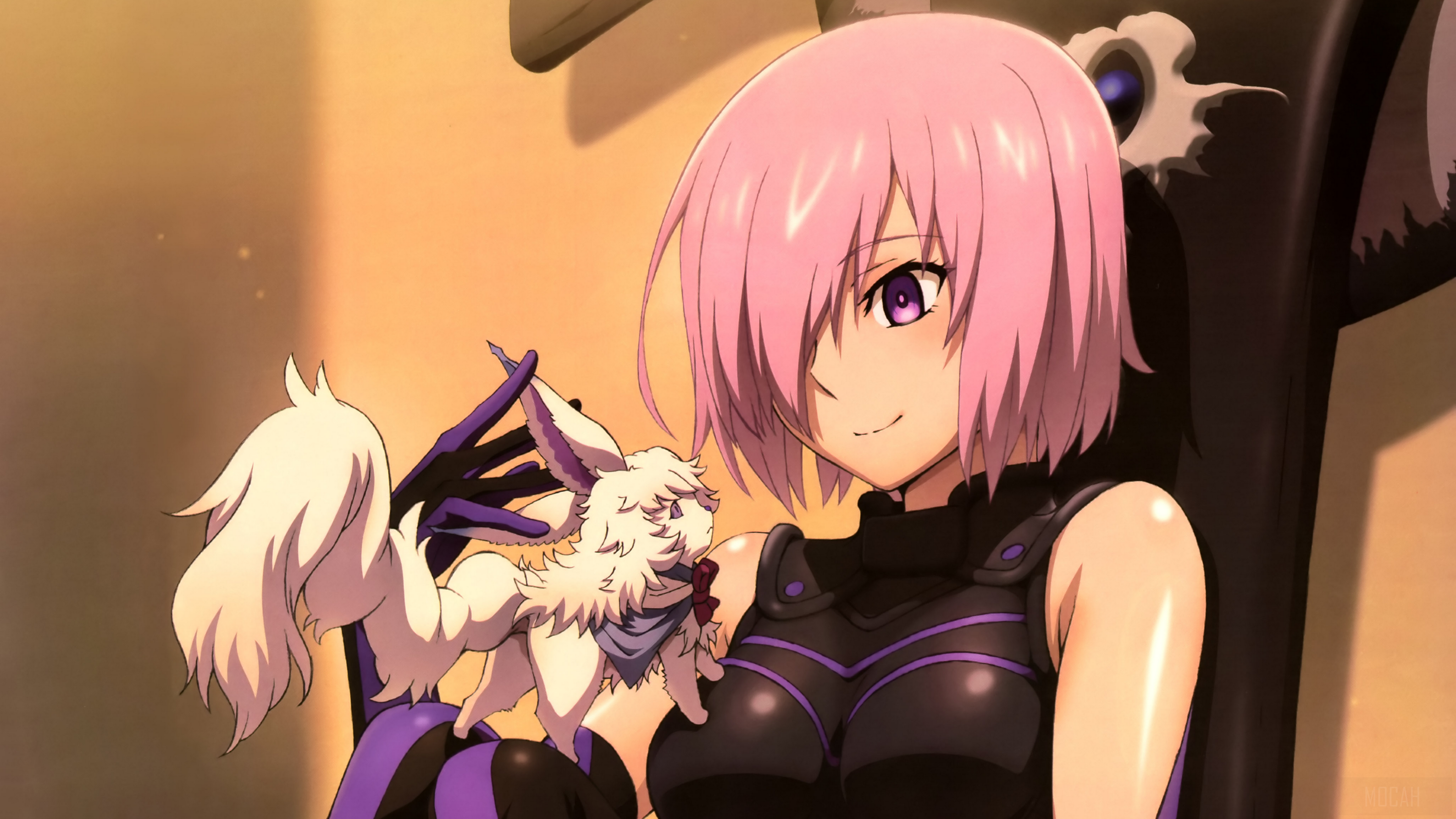 Shielder from Fate/Grand Order 4K HD Wallpaper