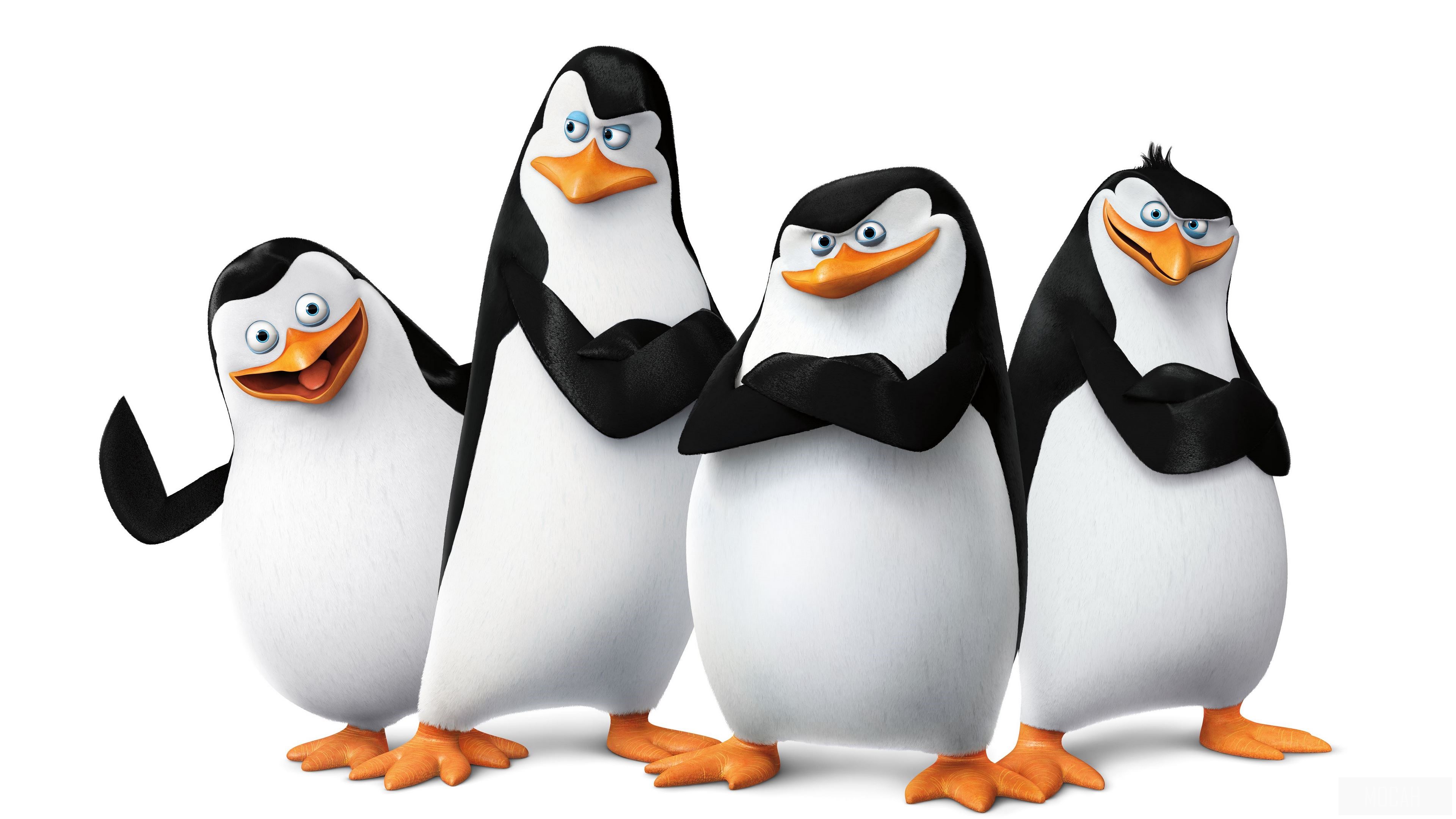 The Penguins of Madagascar 4K HD Wallpaper